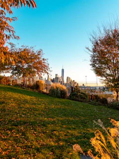 A view of a city skyline from a park