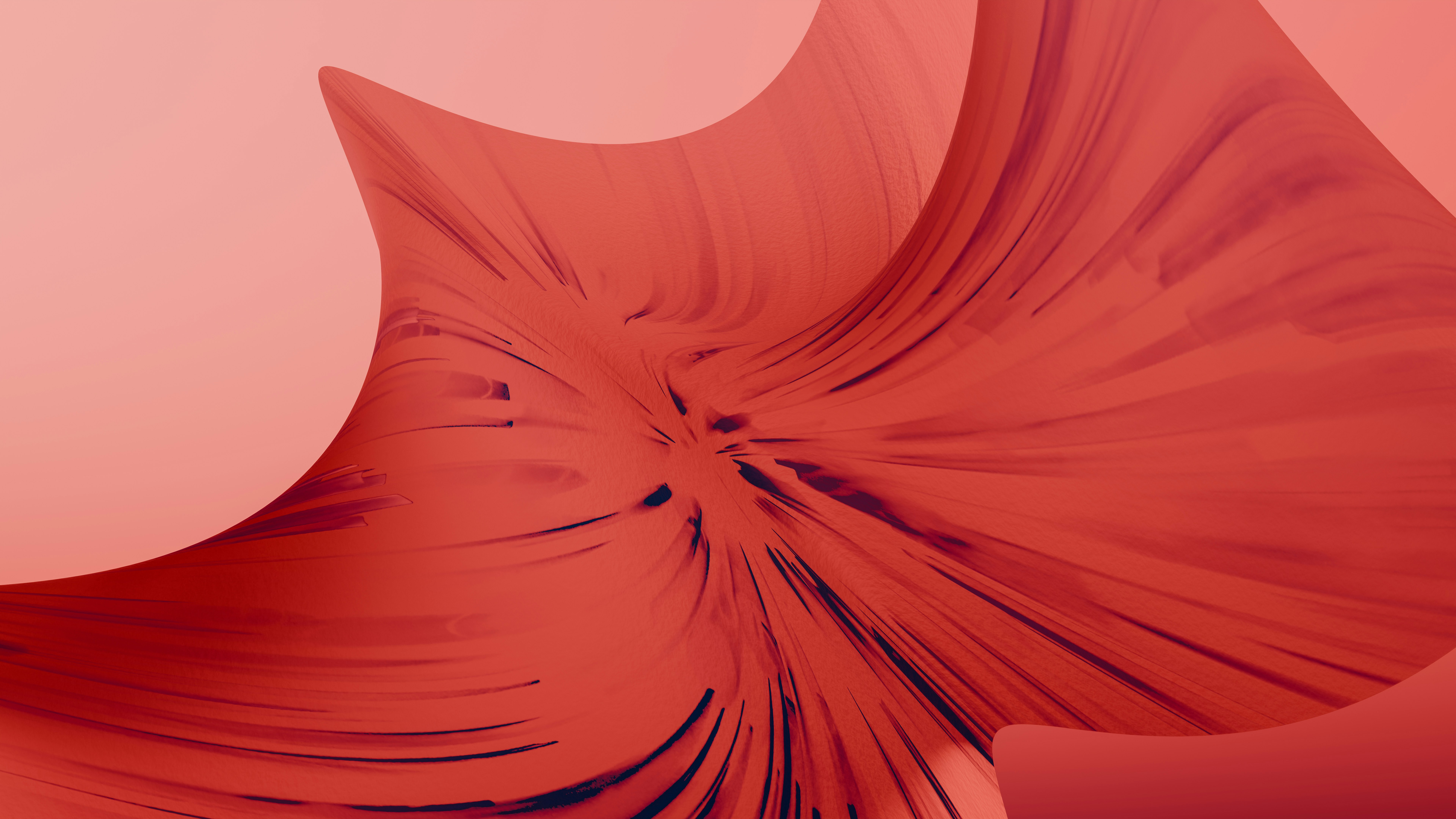 A close up of a red flower on a pink background