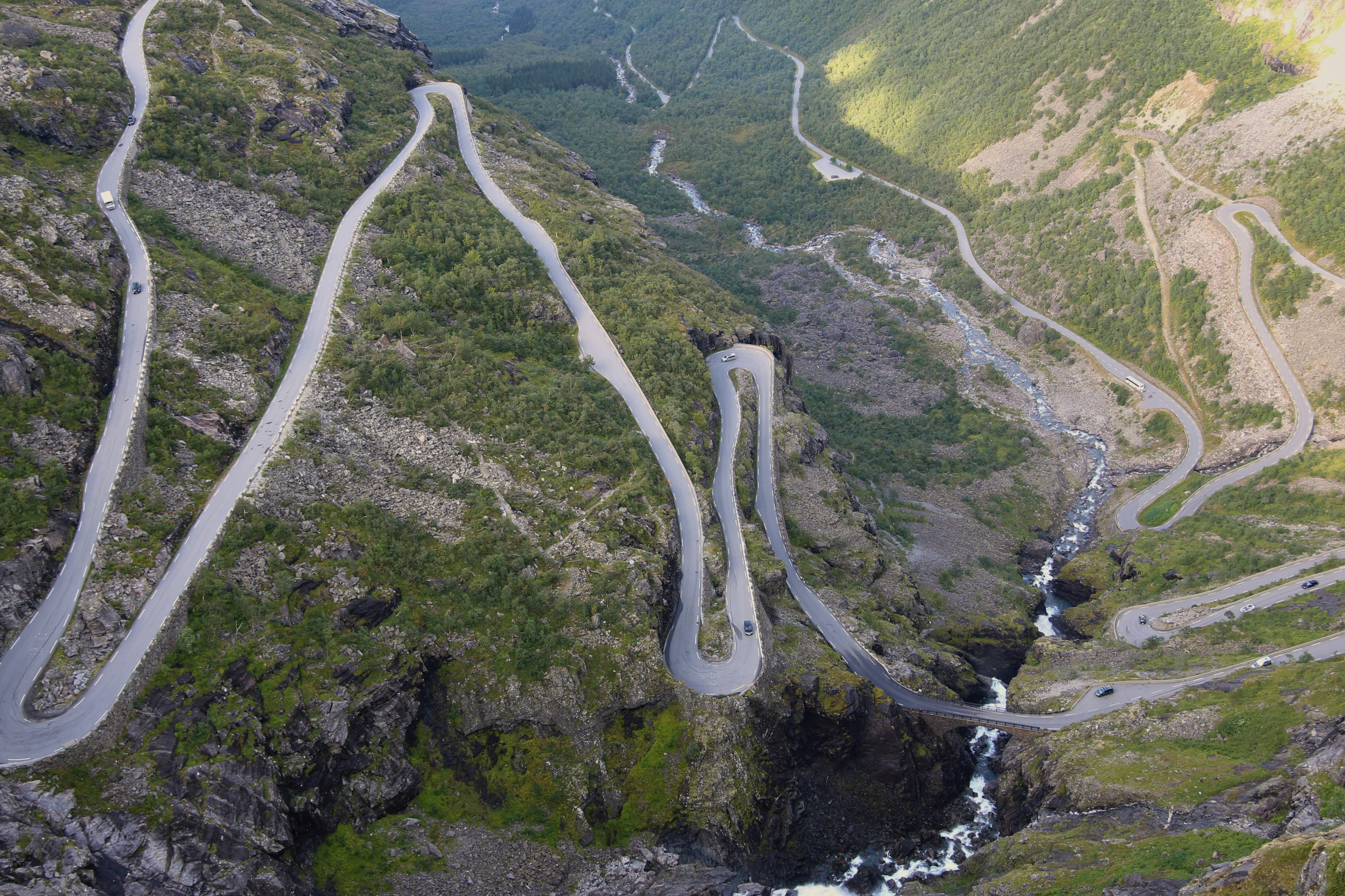 Photo by brunafisantos