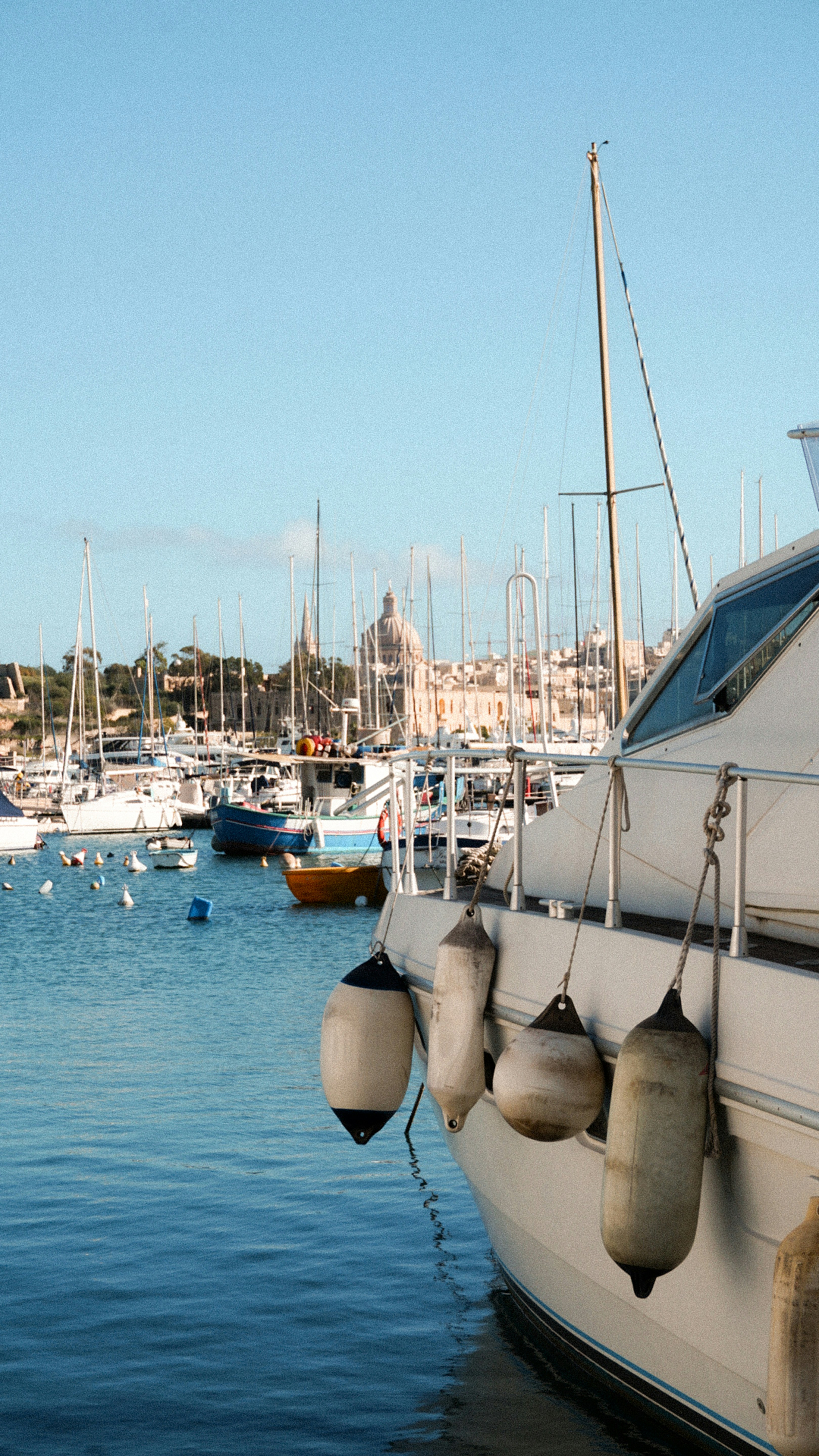 Photo by anjaleemingbecker