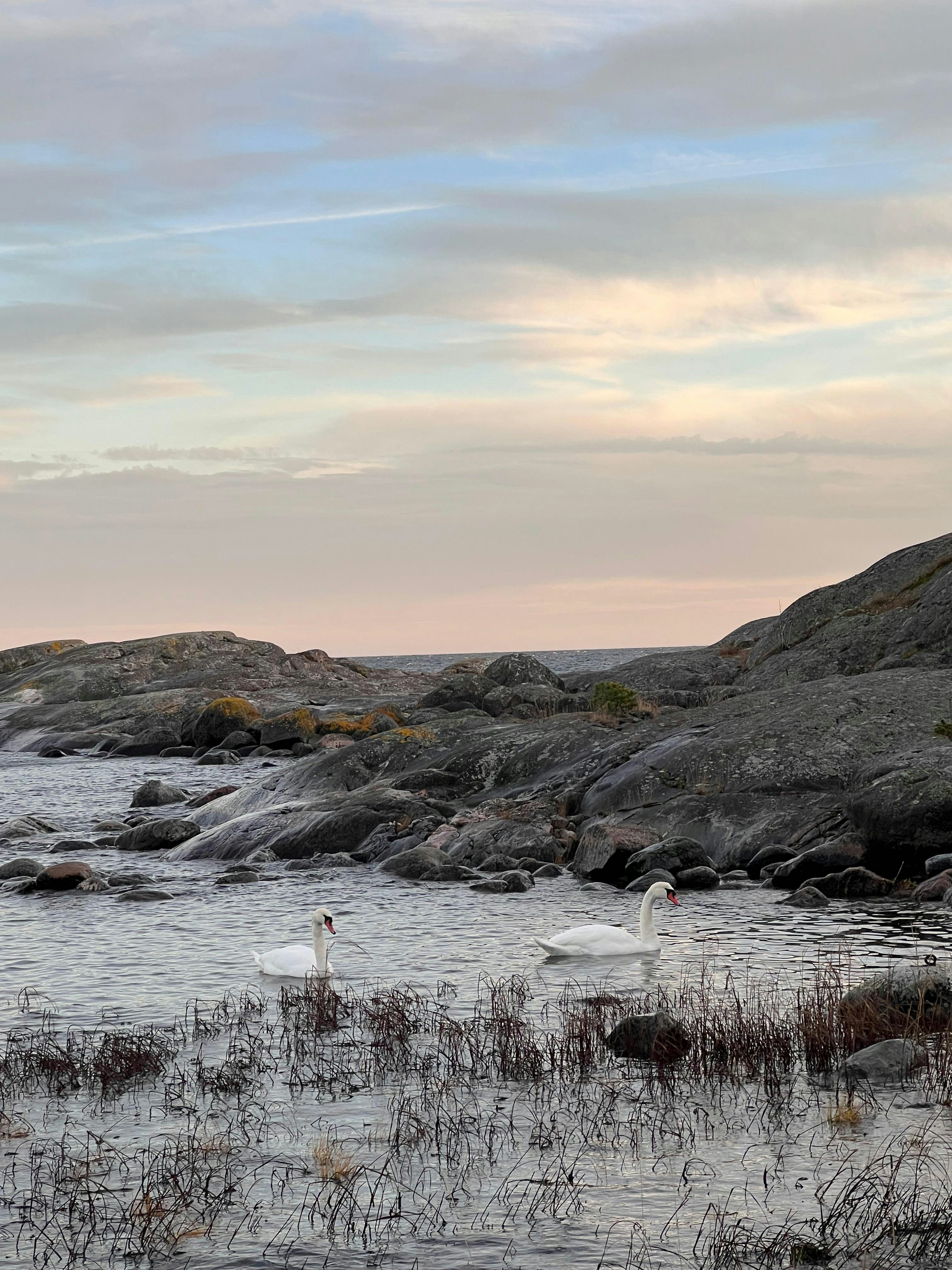 Photo by adnantokgoz