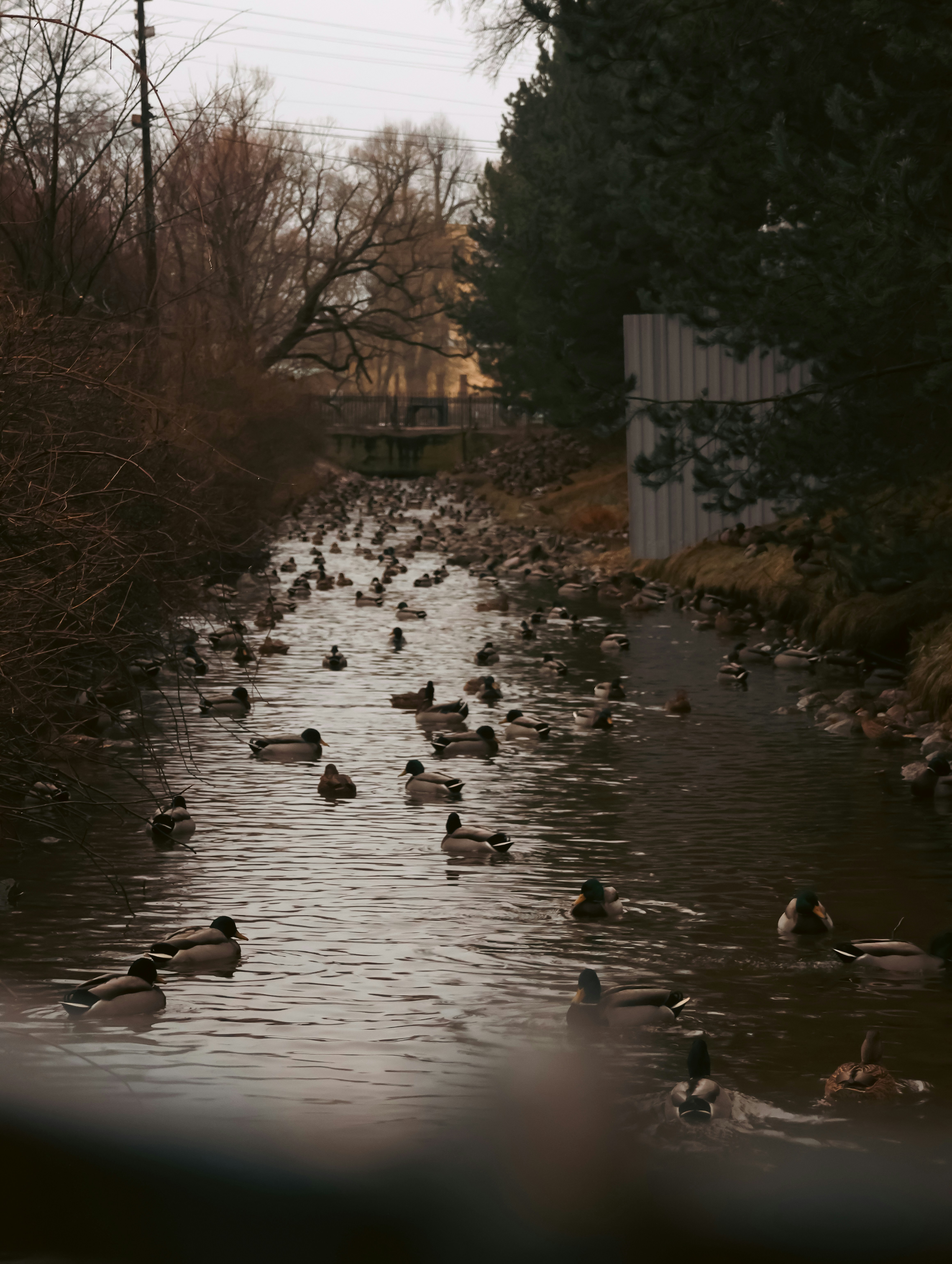 Photo by kolmagorove