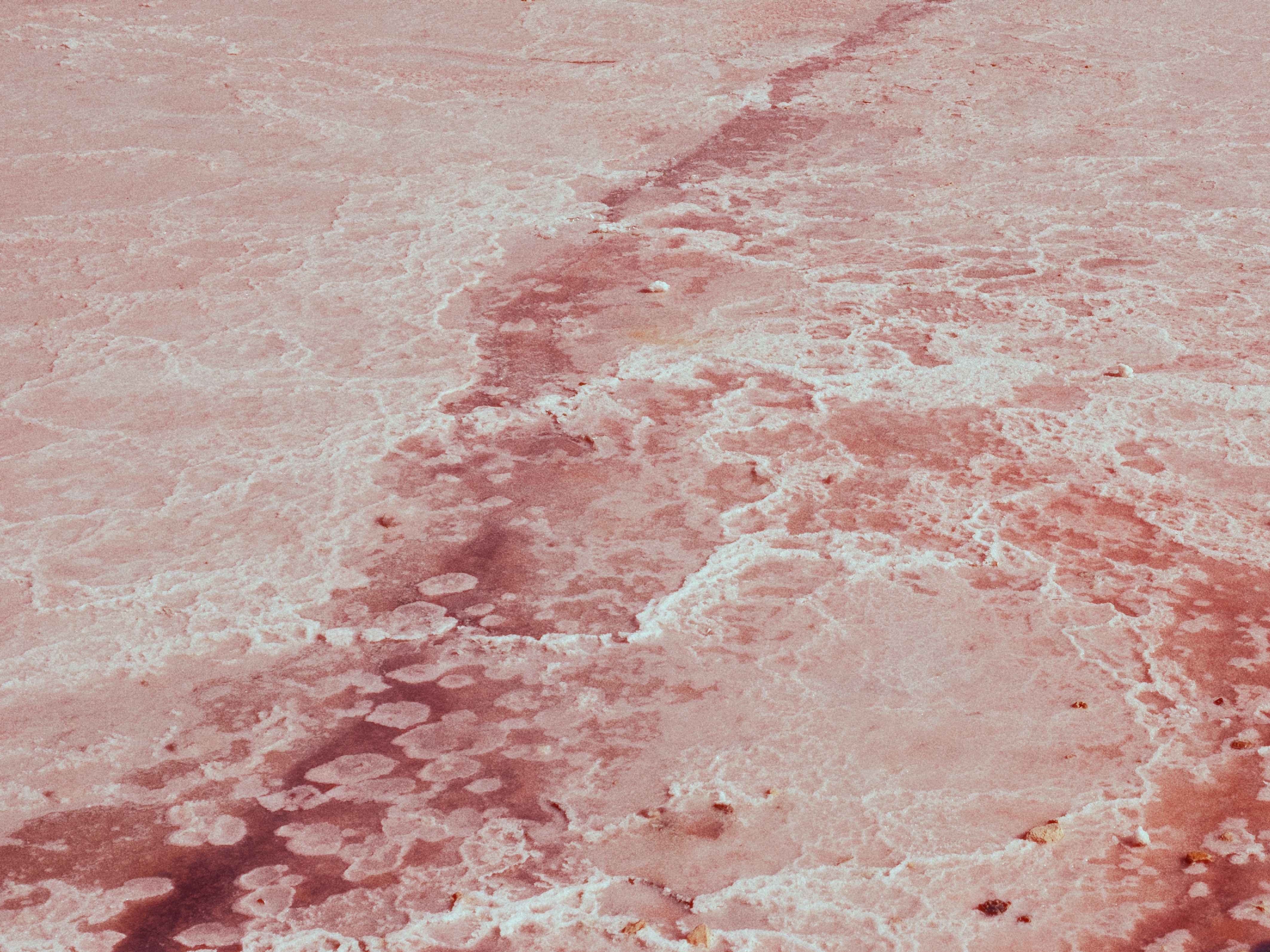 Imágenes de Textura De La Sal | Descarga imágenes gratuitas en Unsplash
