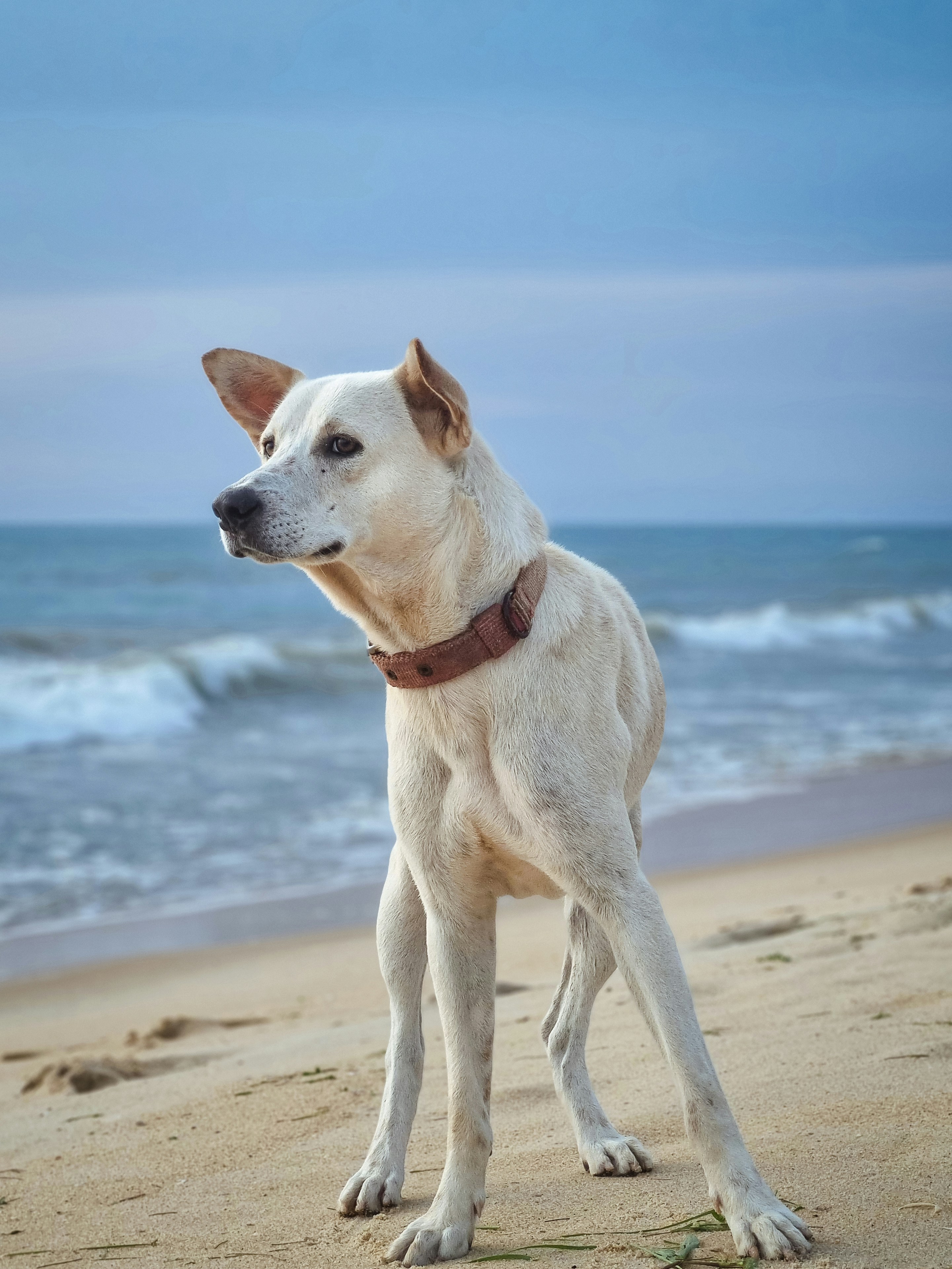 Photo by abhisheksarkate26