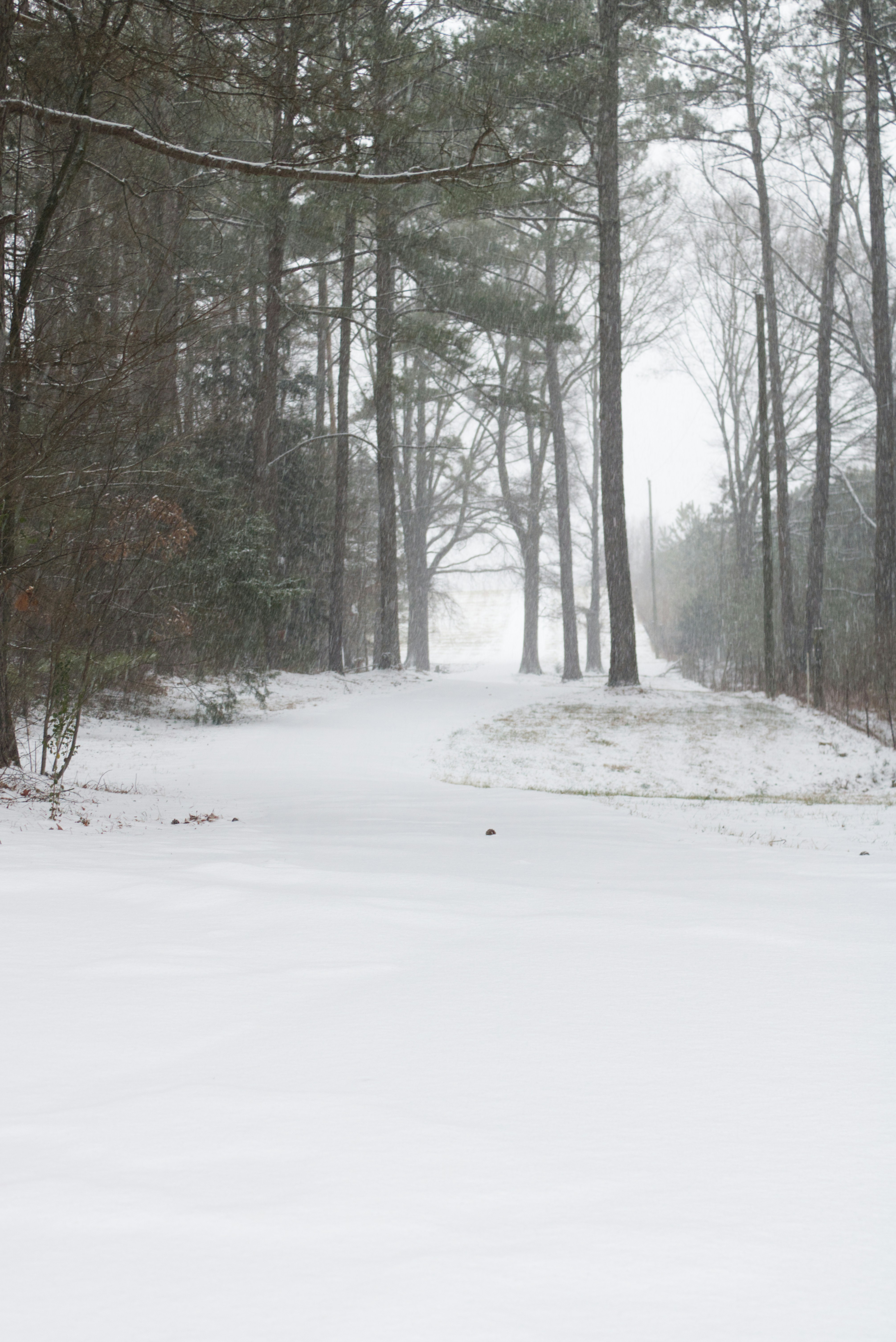 snow covered driveway
