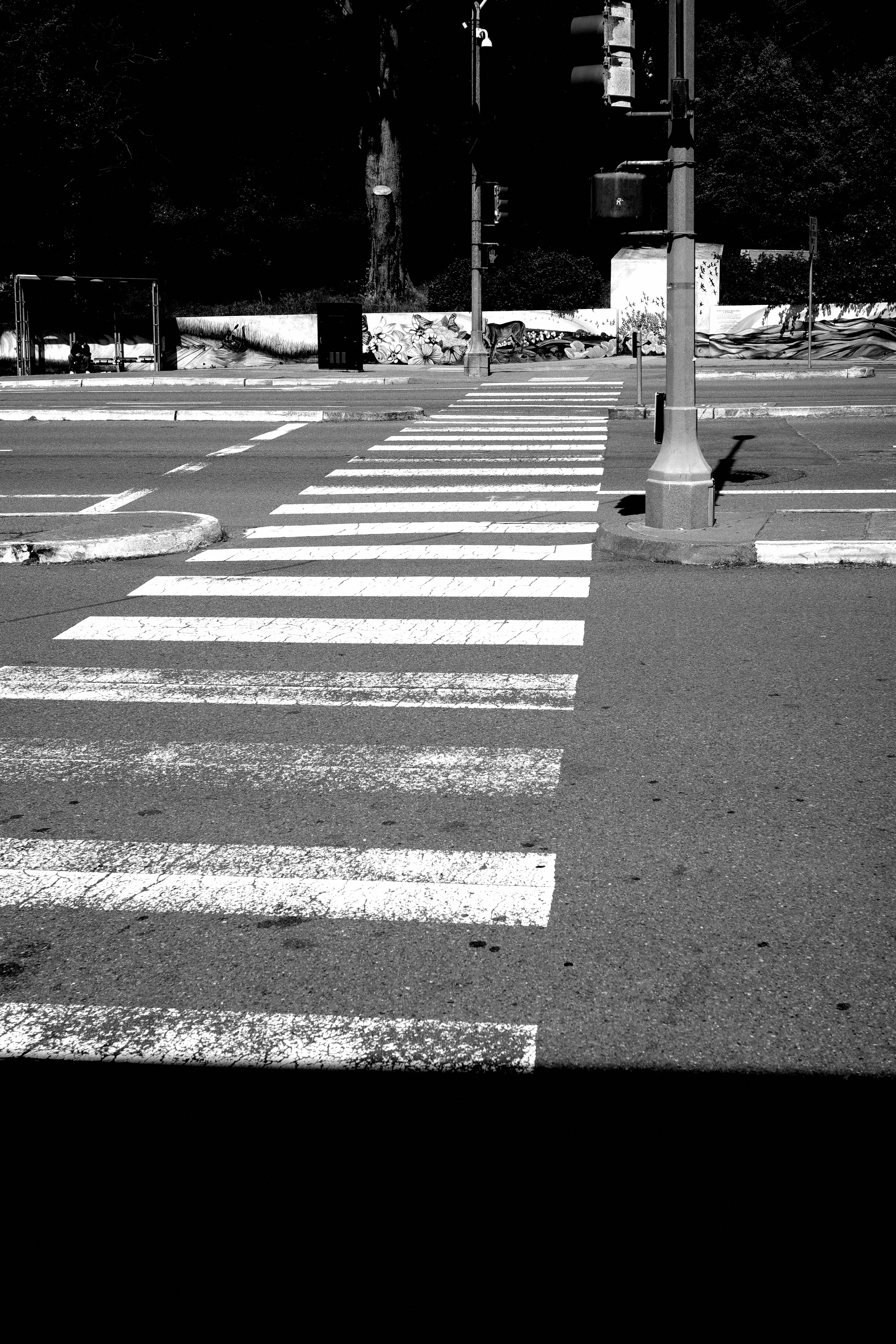 A man riding a skateboard across a cross walk