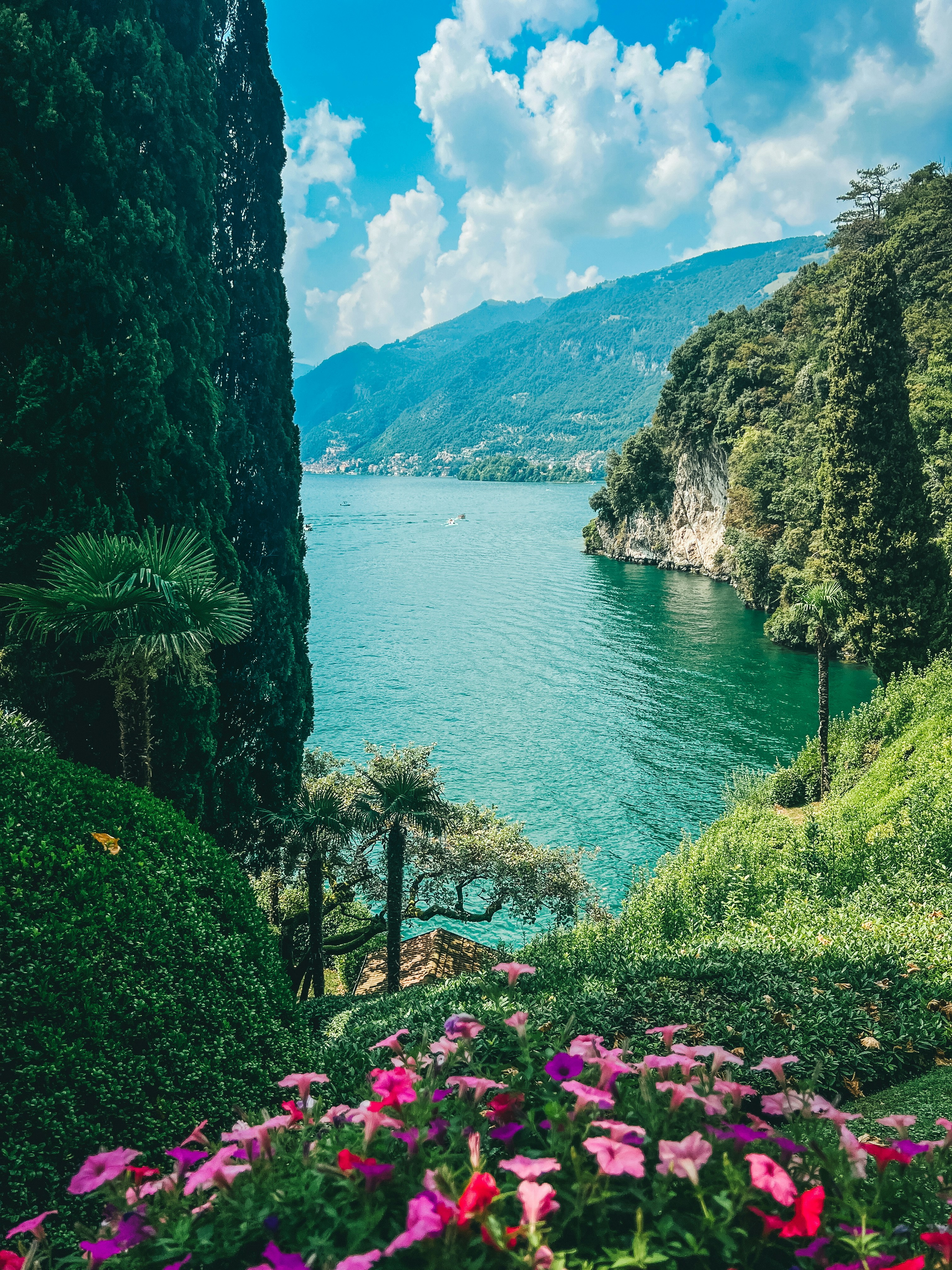 A lake surrounded by lush green trees and flowers