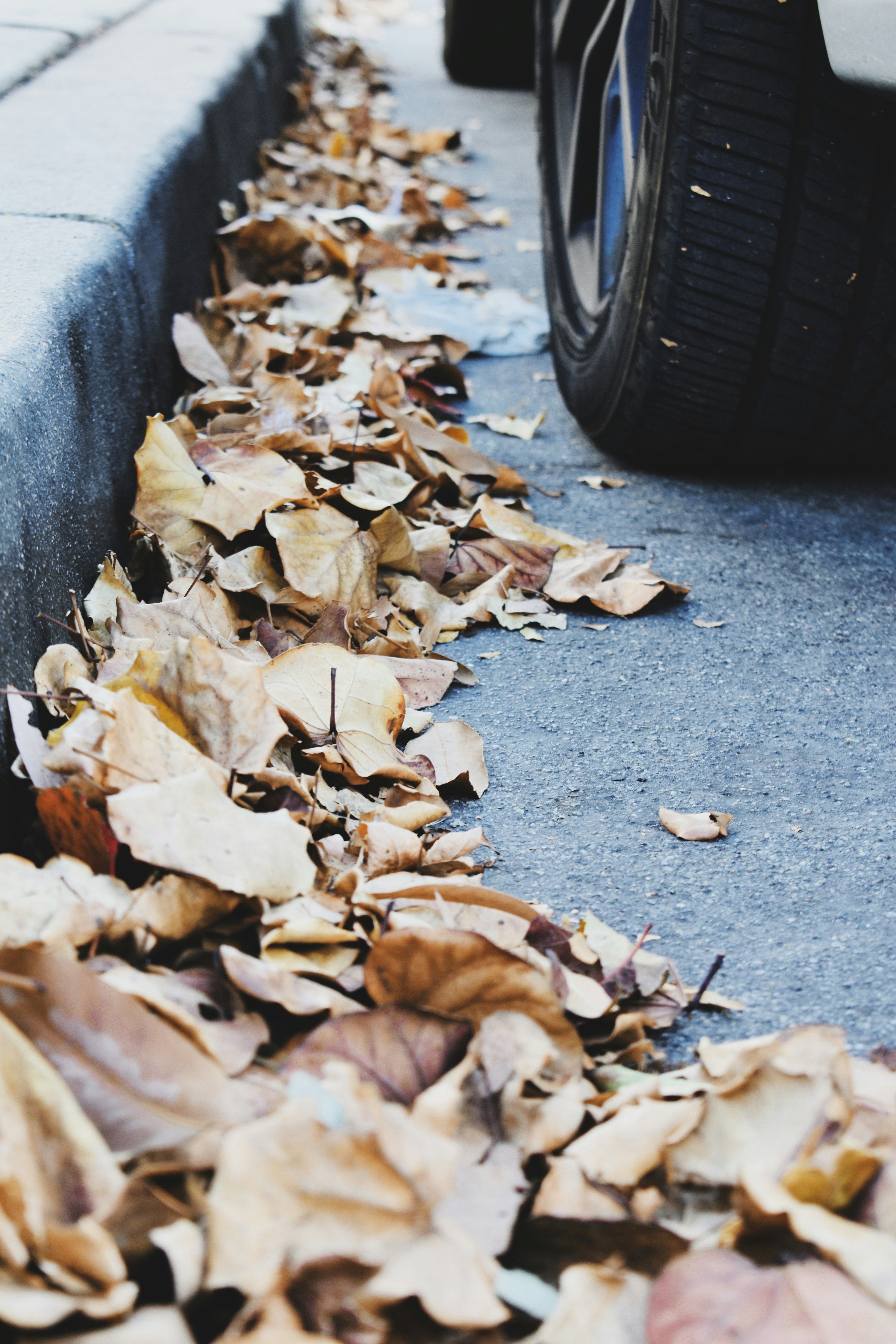 A car parked on the side of a road next to a pile of leaves