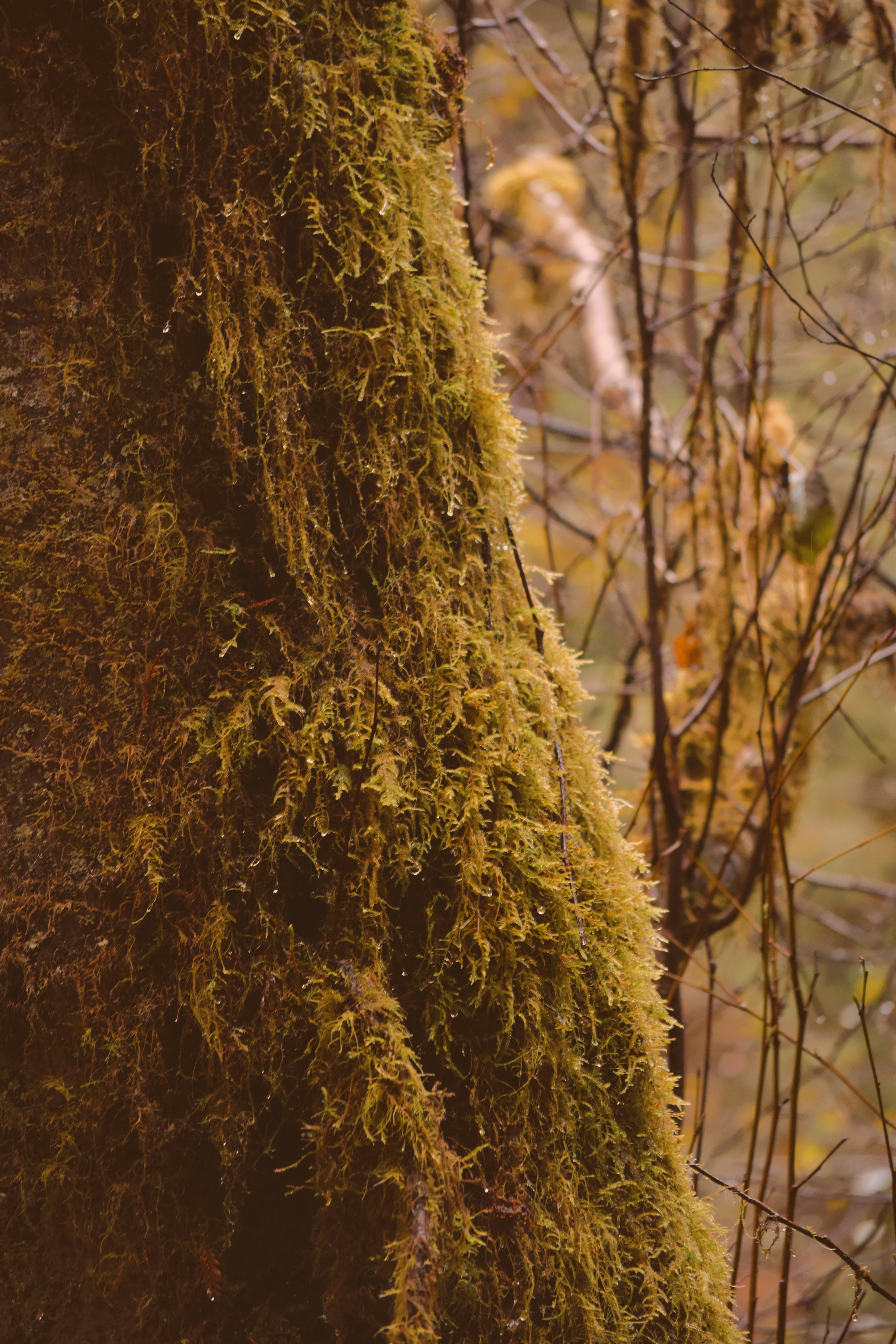 Photo by myshegotripped