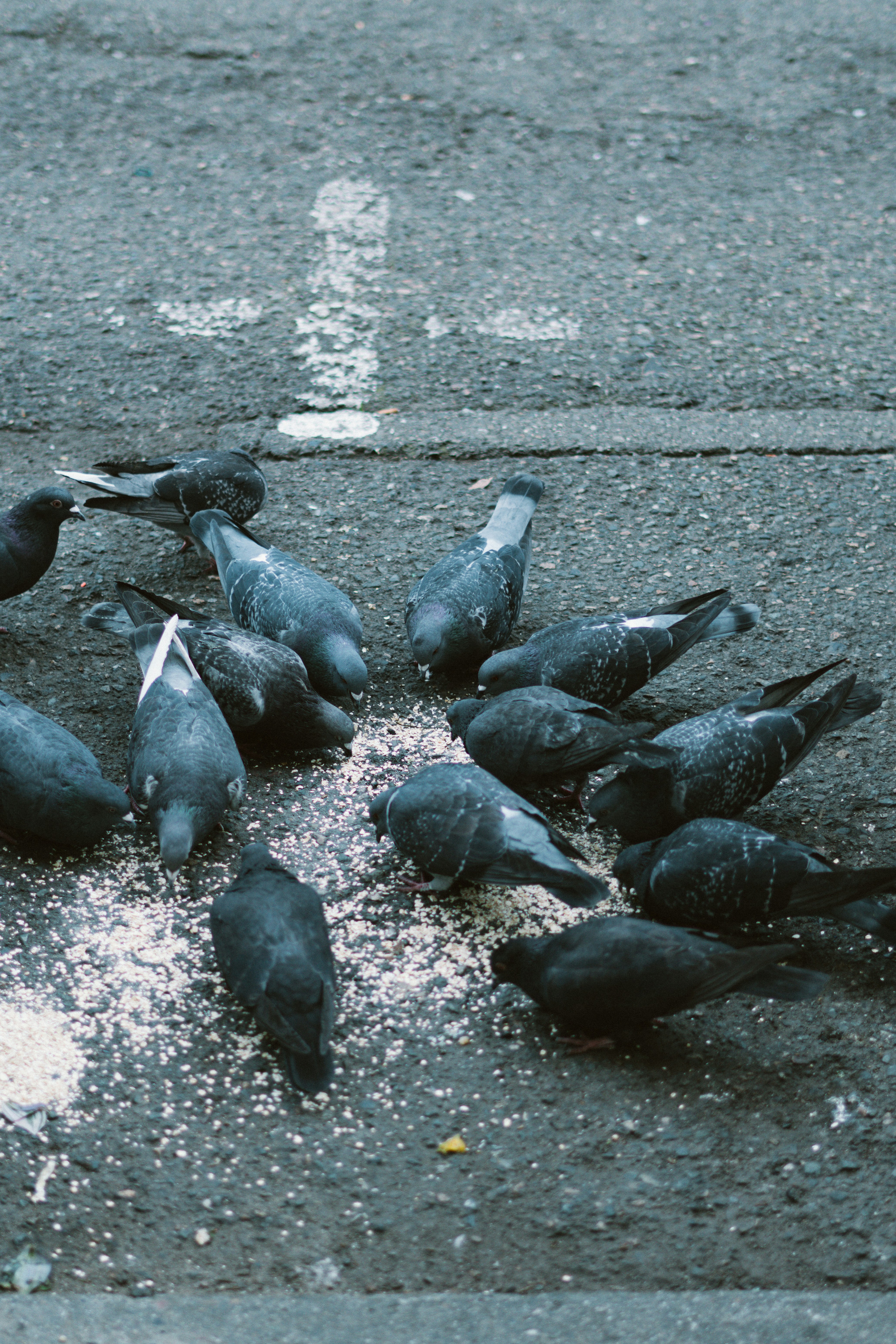 black and white bed linen