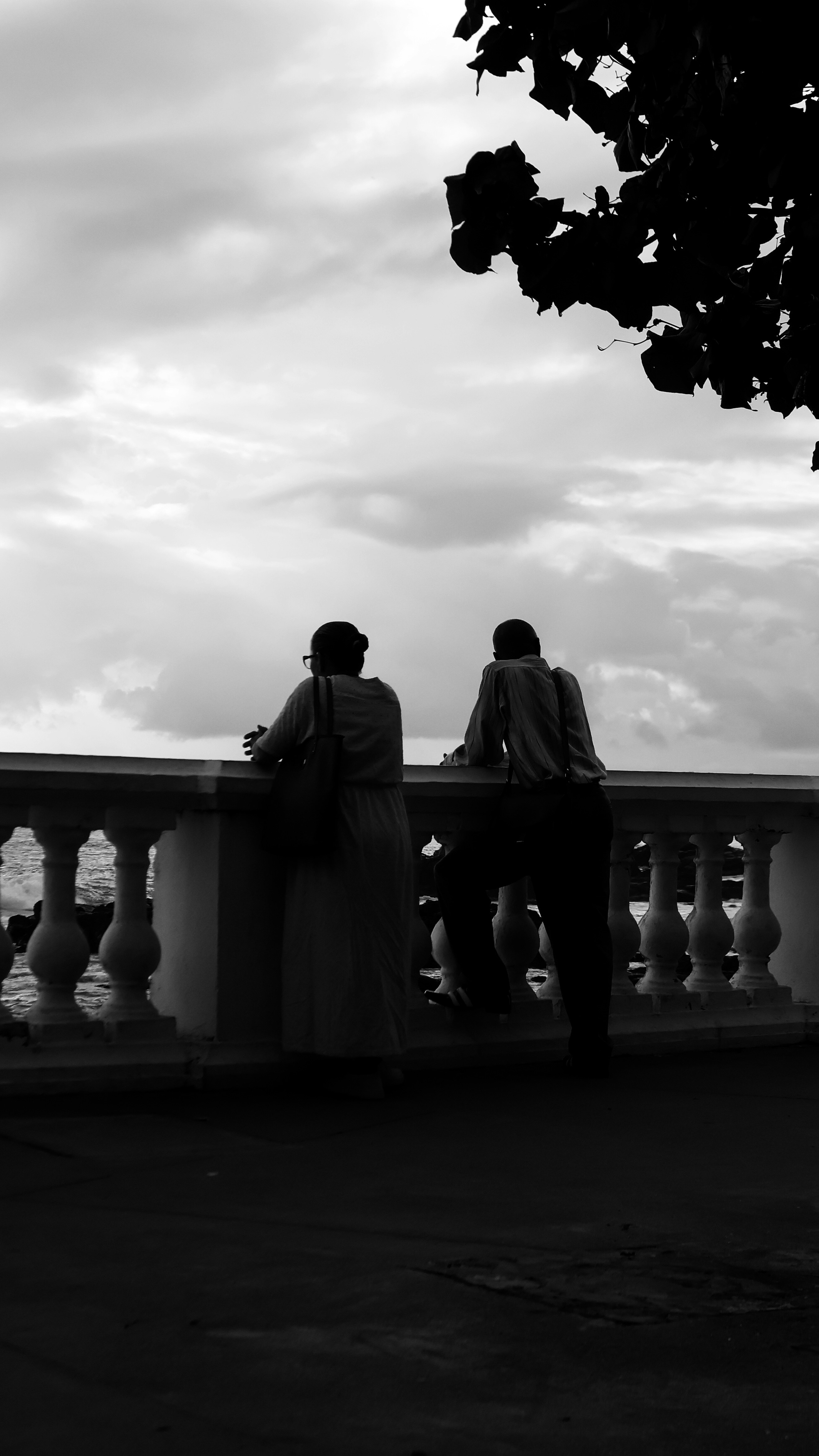 Photo by omarcelandrade