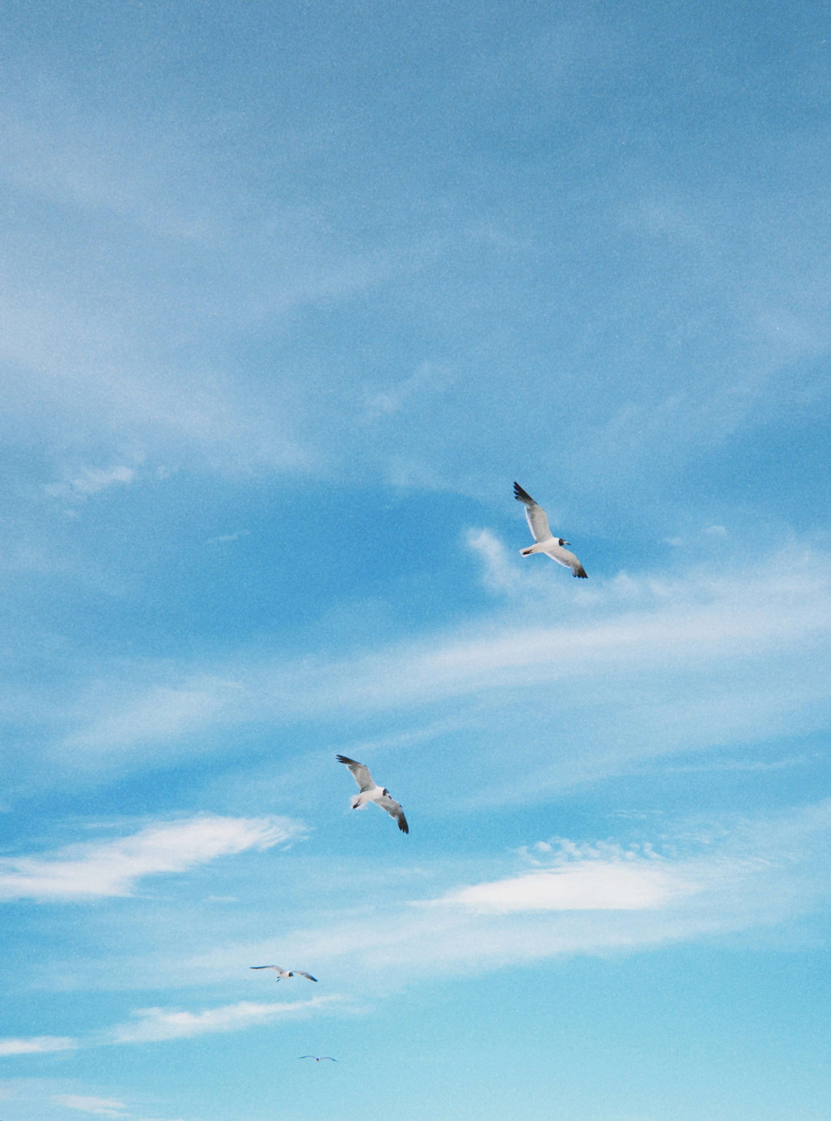 Photo by luisanagalicia