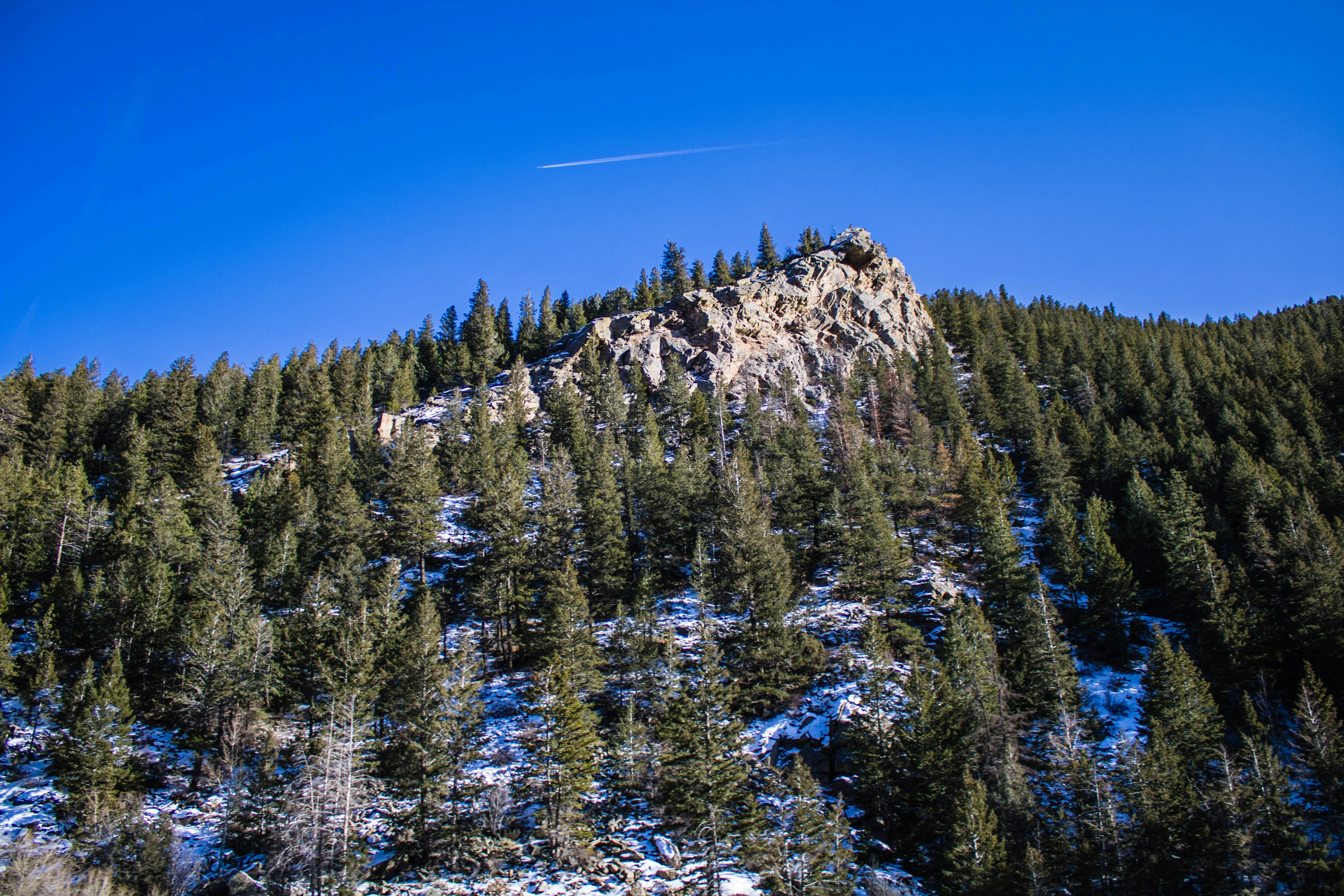 Photo by hoffman1030