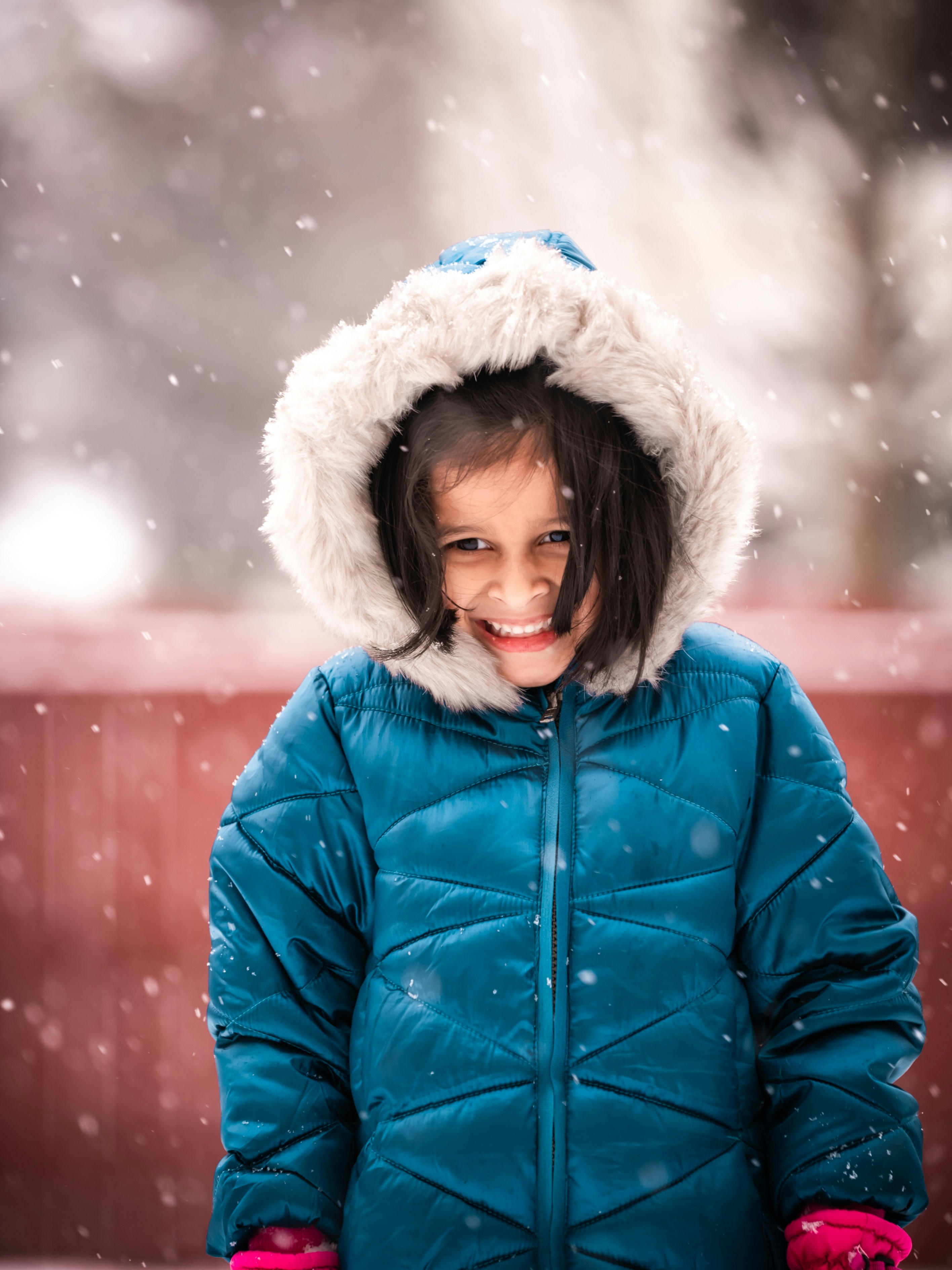 Photo by giginkrishnan