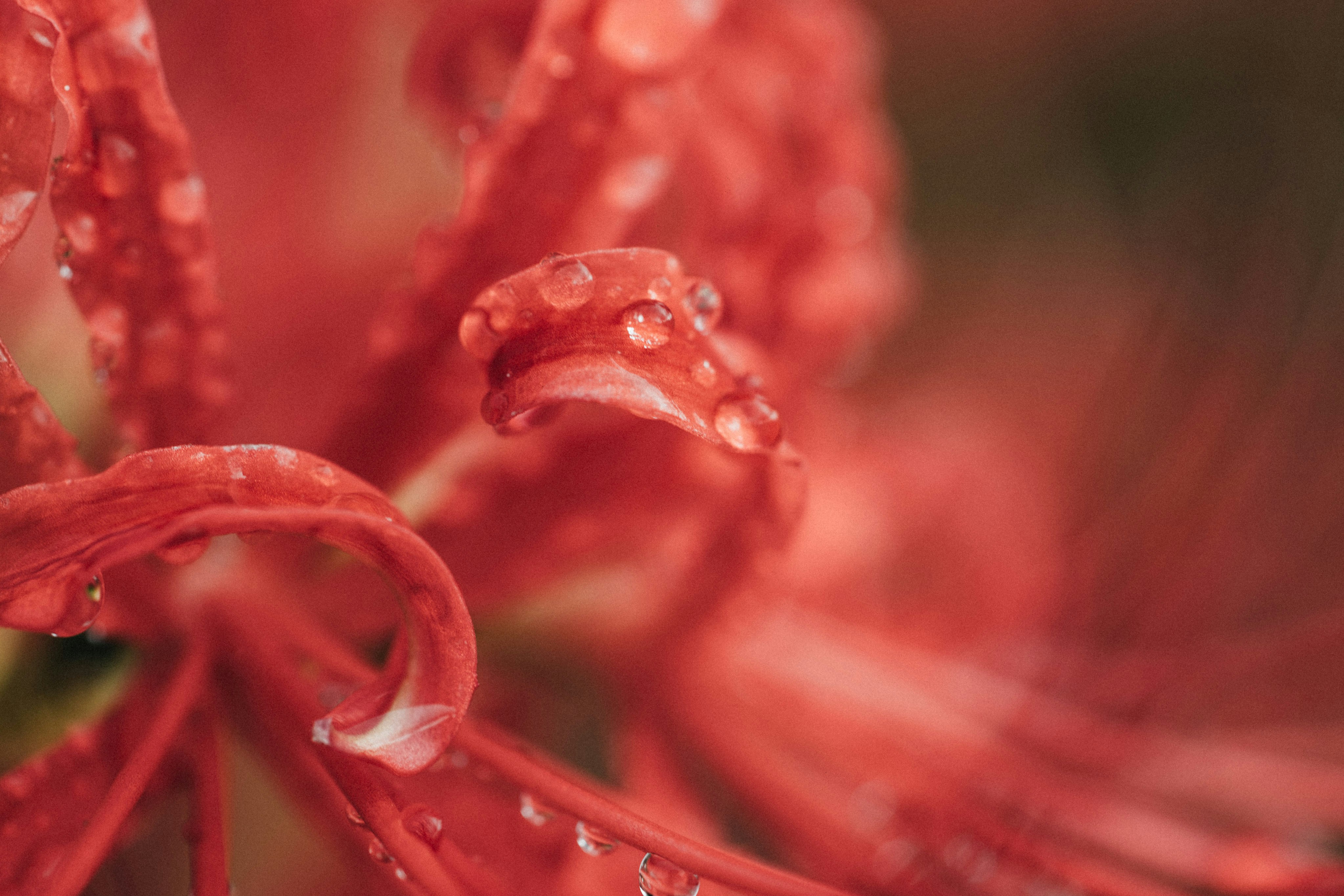 Photo by tsuyoshikozu