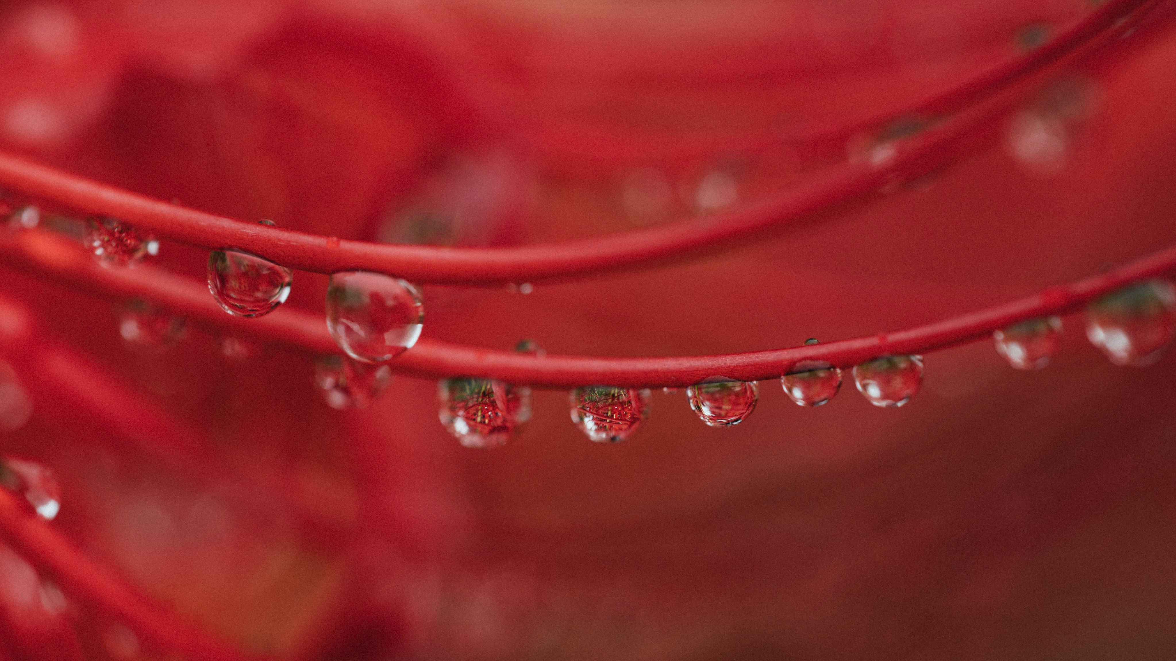 Photo by tsuyoshikozu