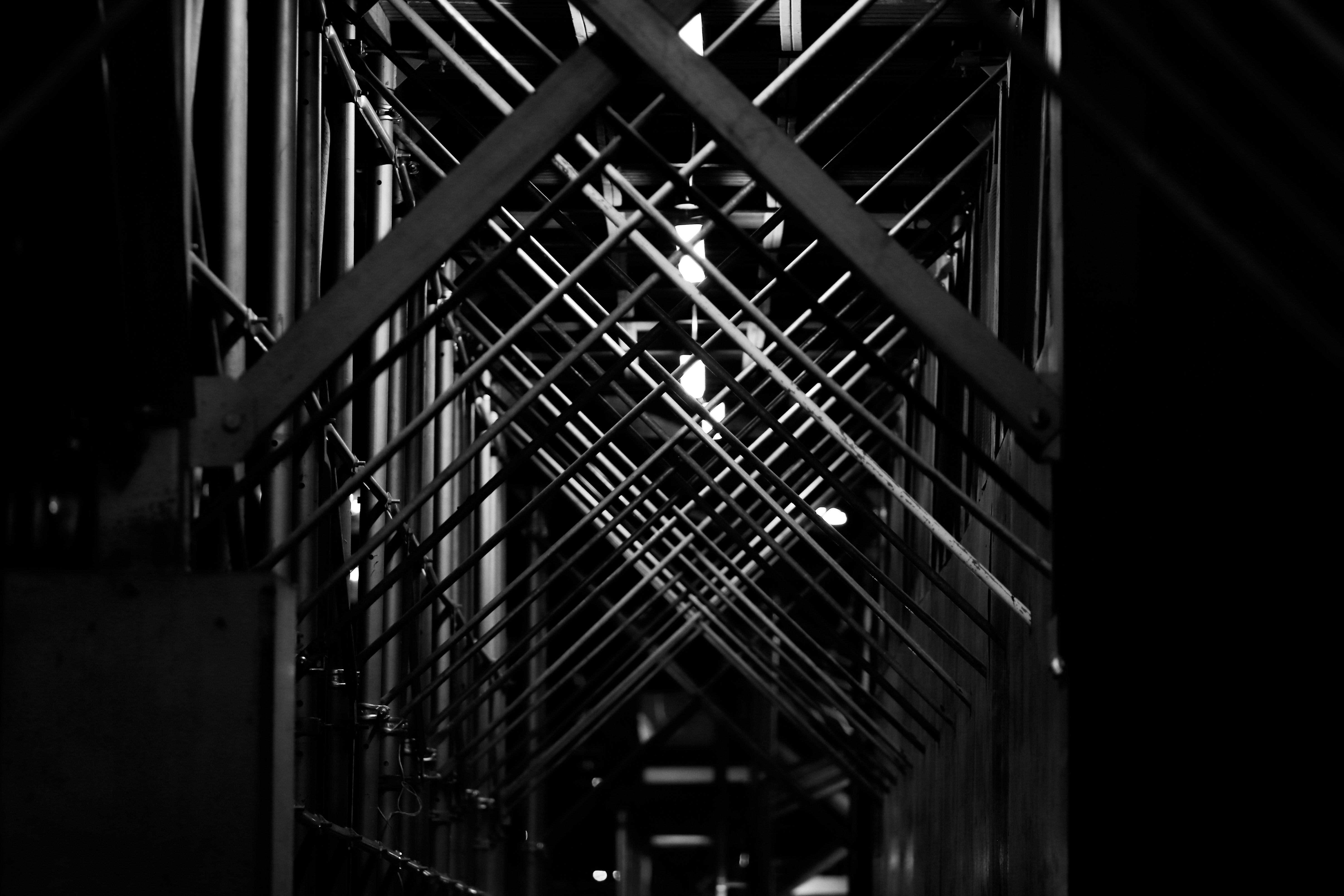 Photo by angelovehearts