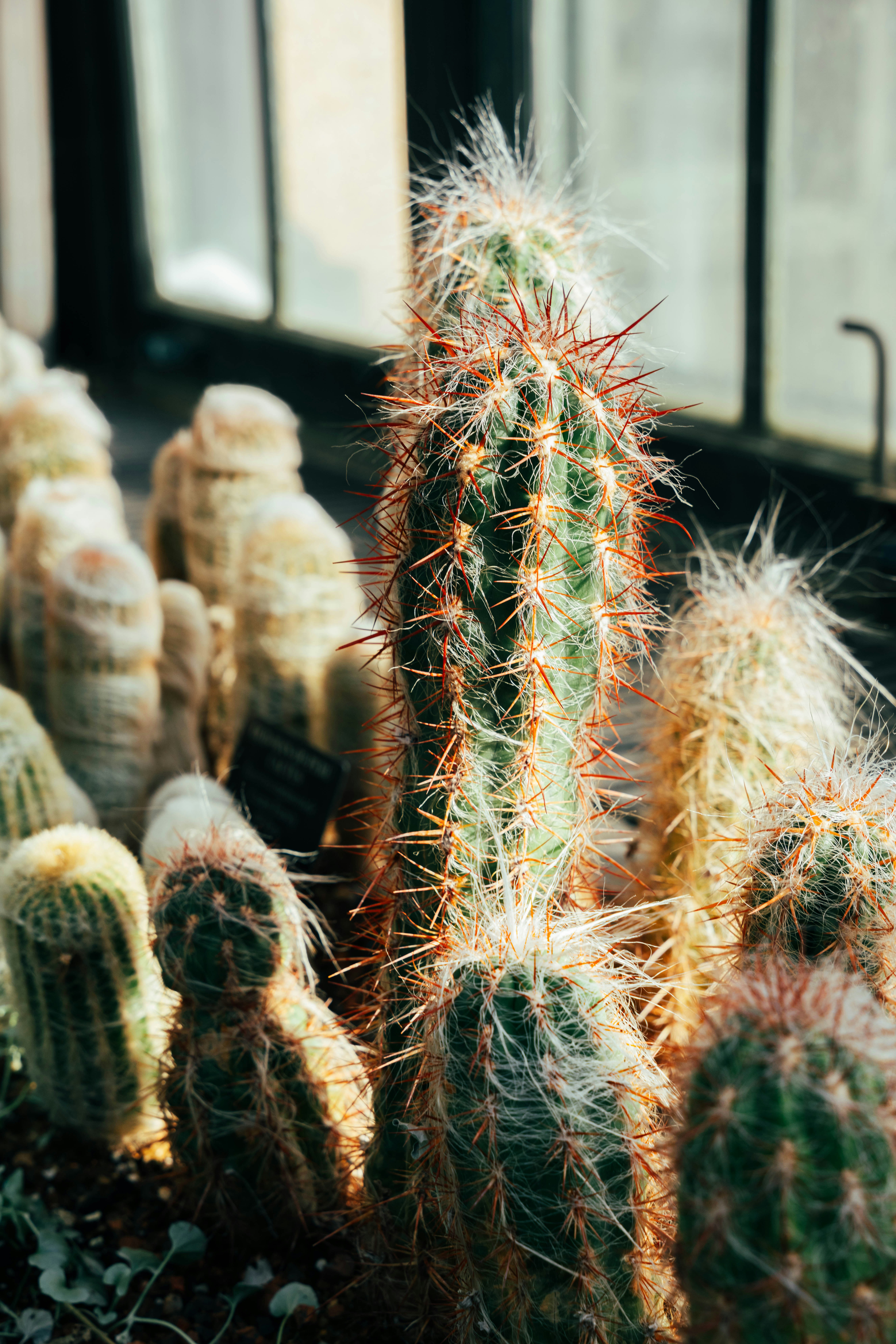 Photo by nellie_adamyan