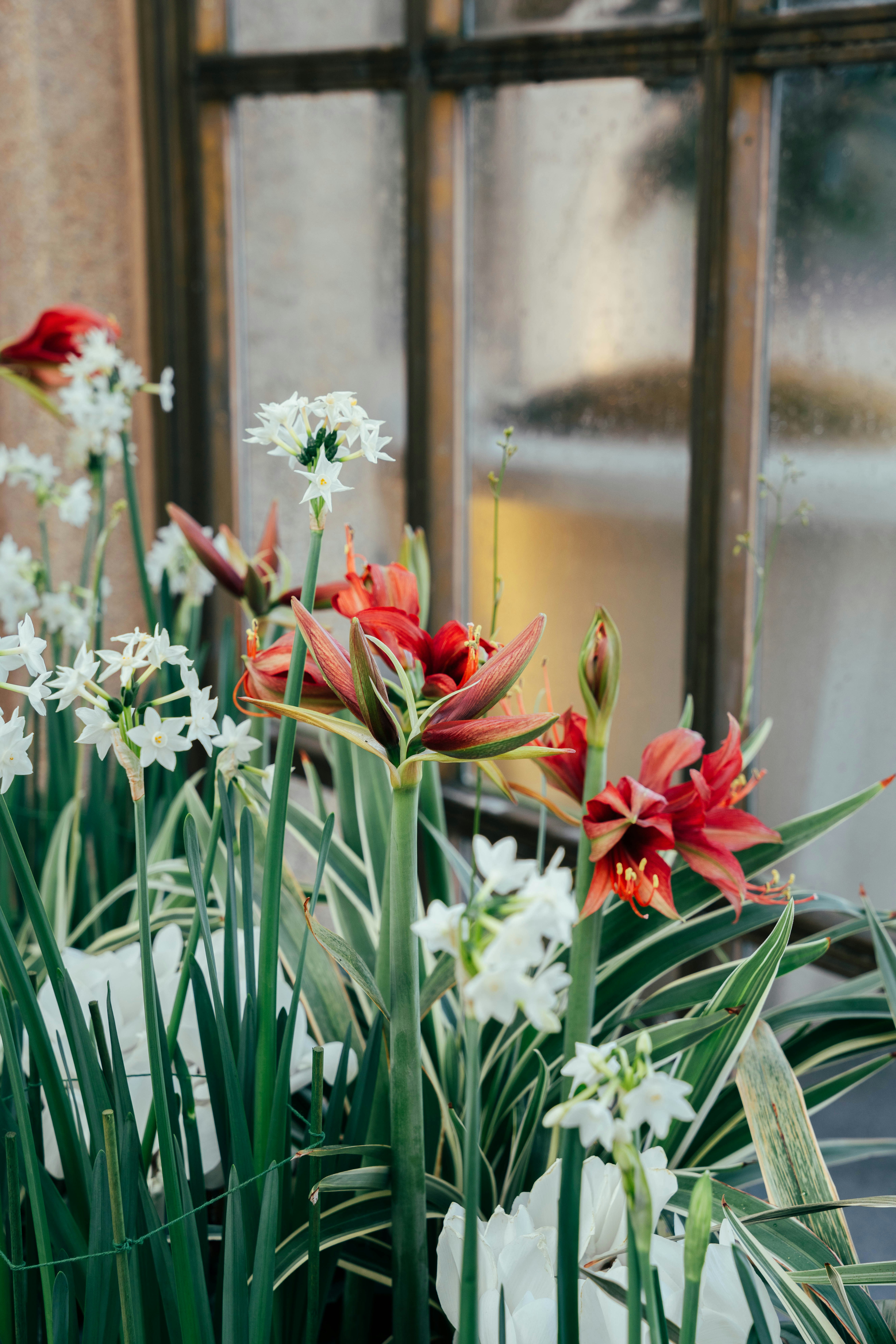 Photo by nellie_adamyan