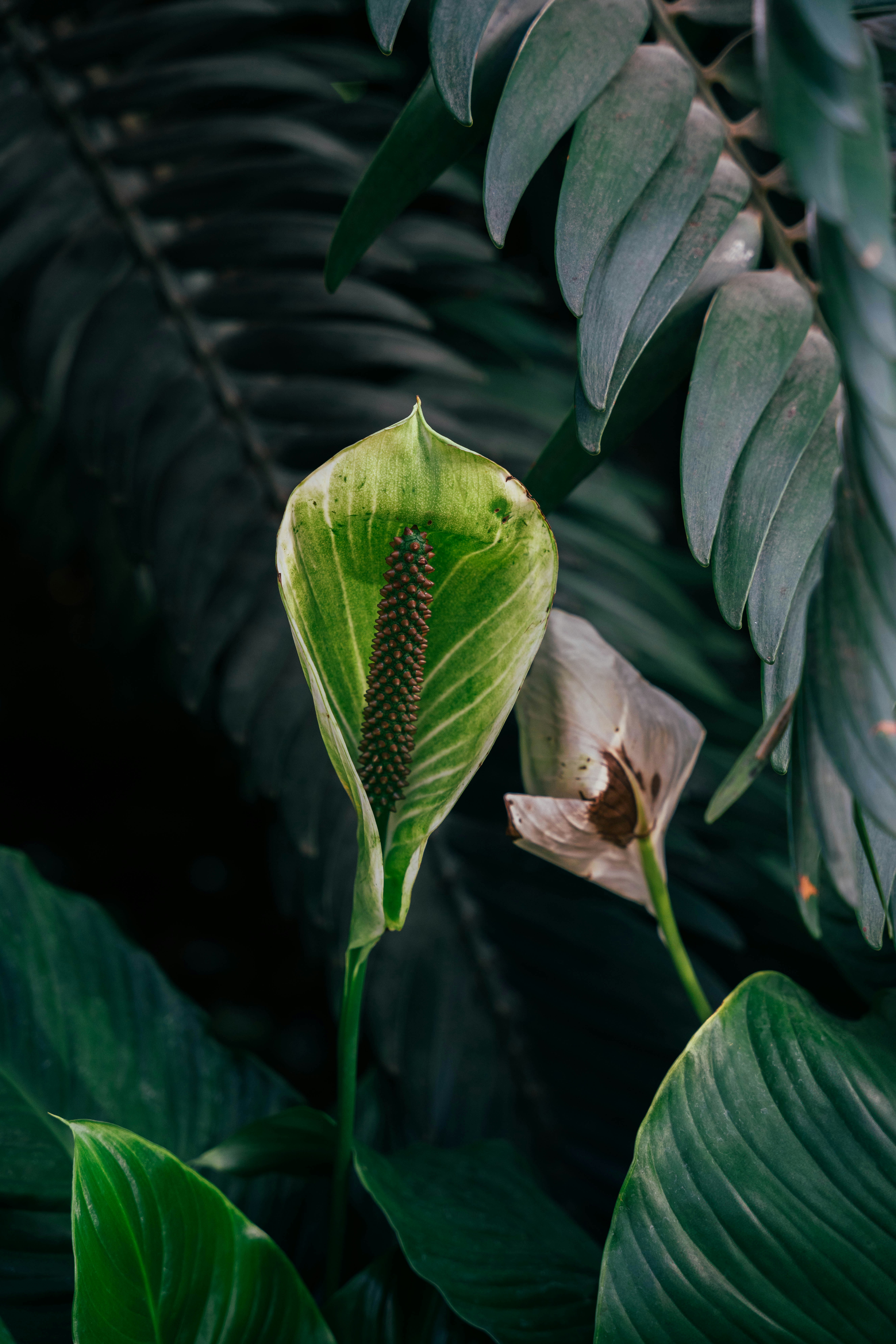 Photo by nellie_adamyan