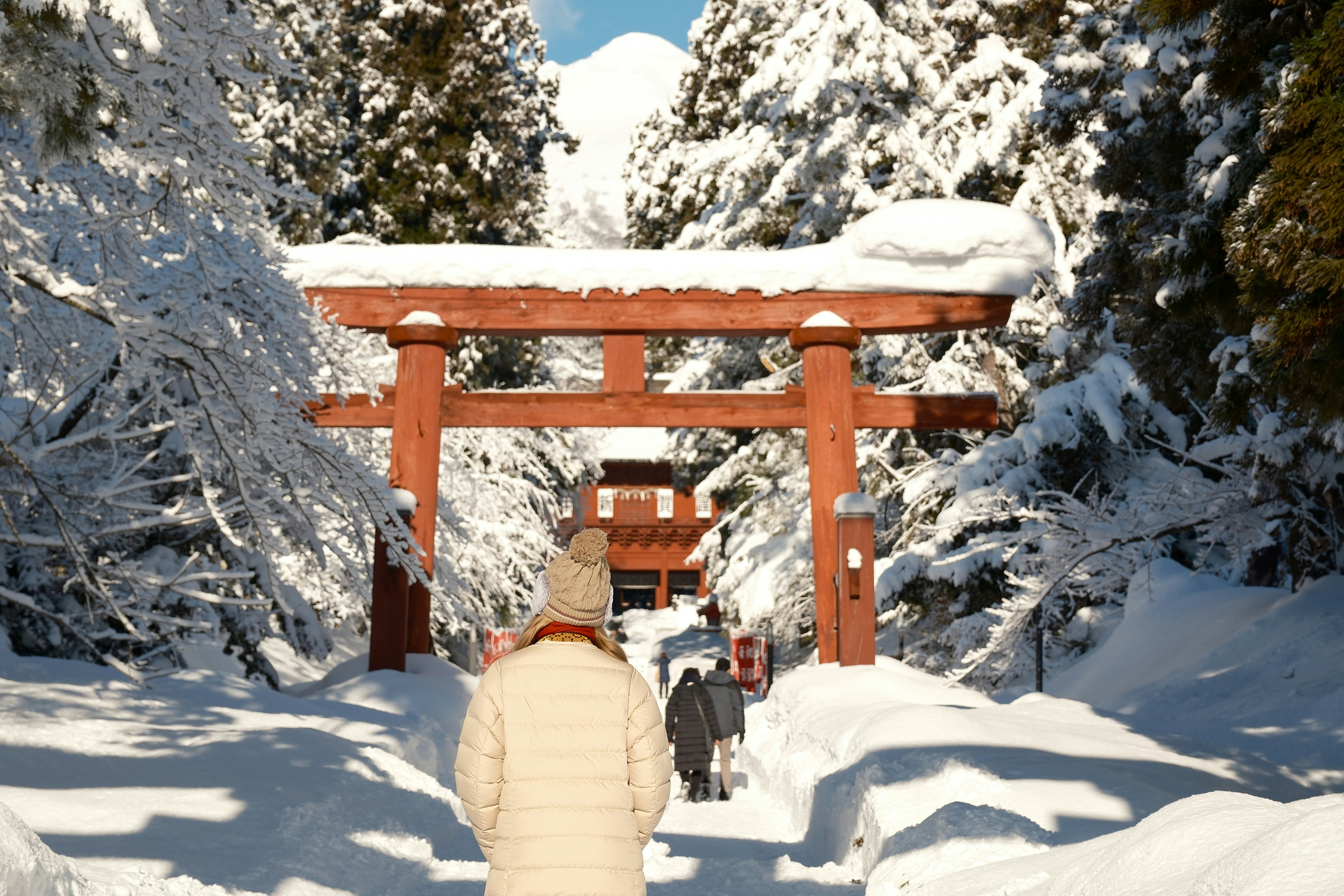 Photo by seiya_maeda