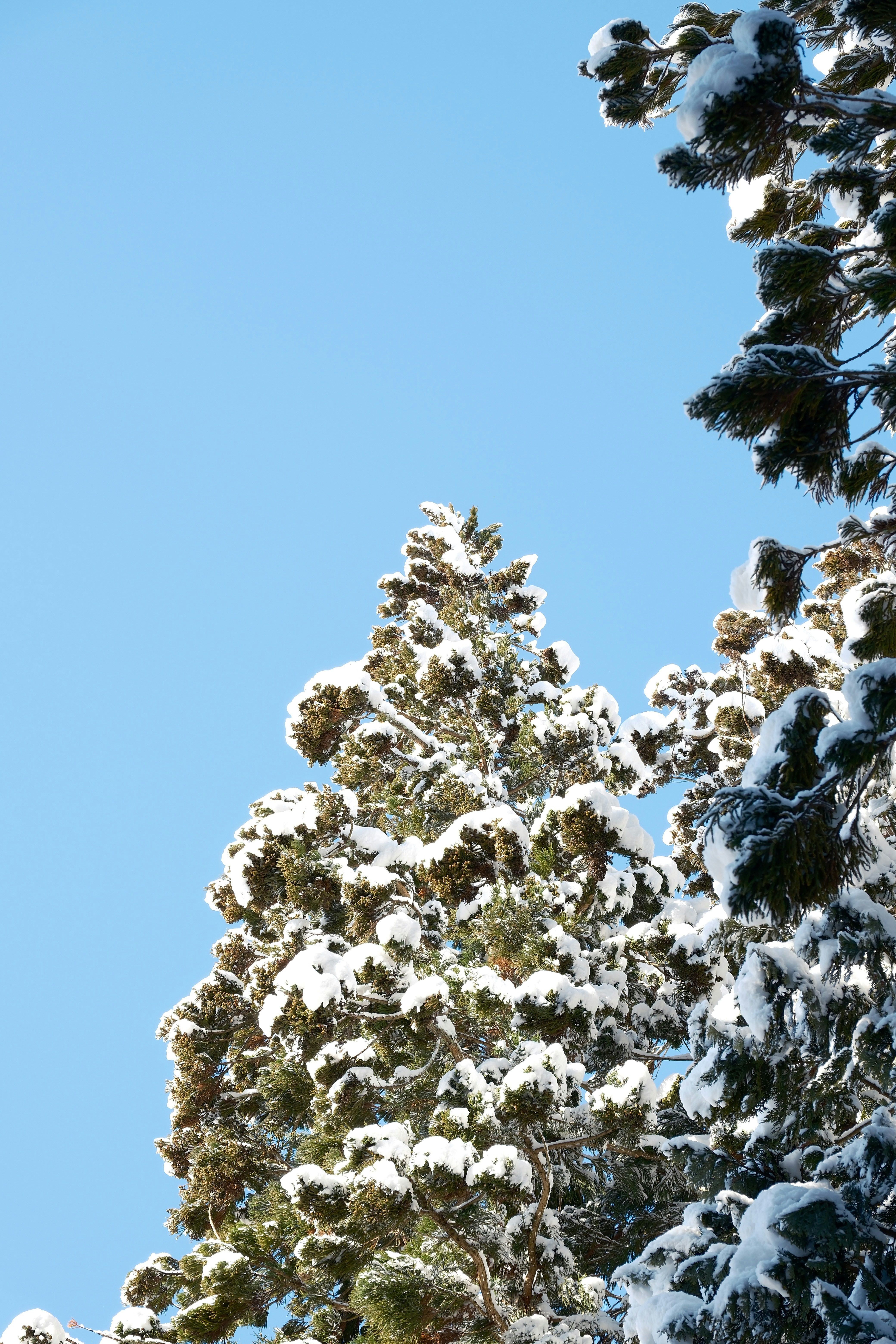 Photo by seiya_maeda