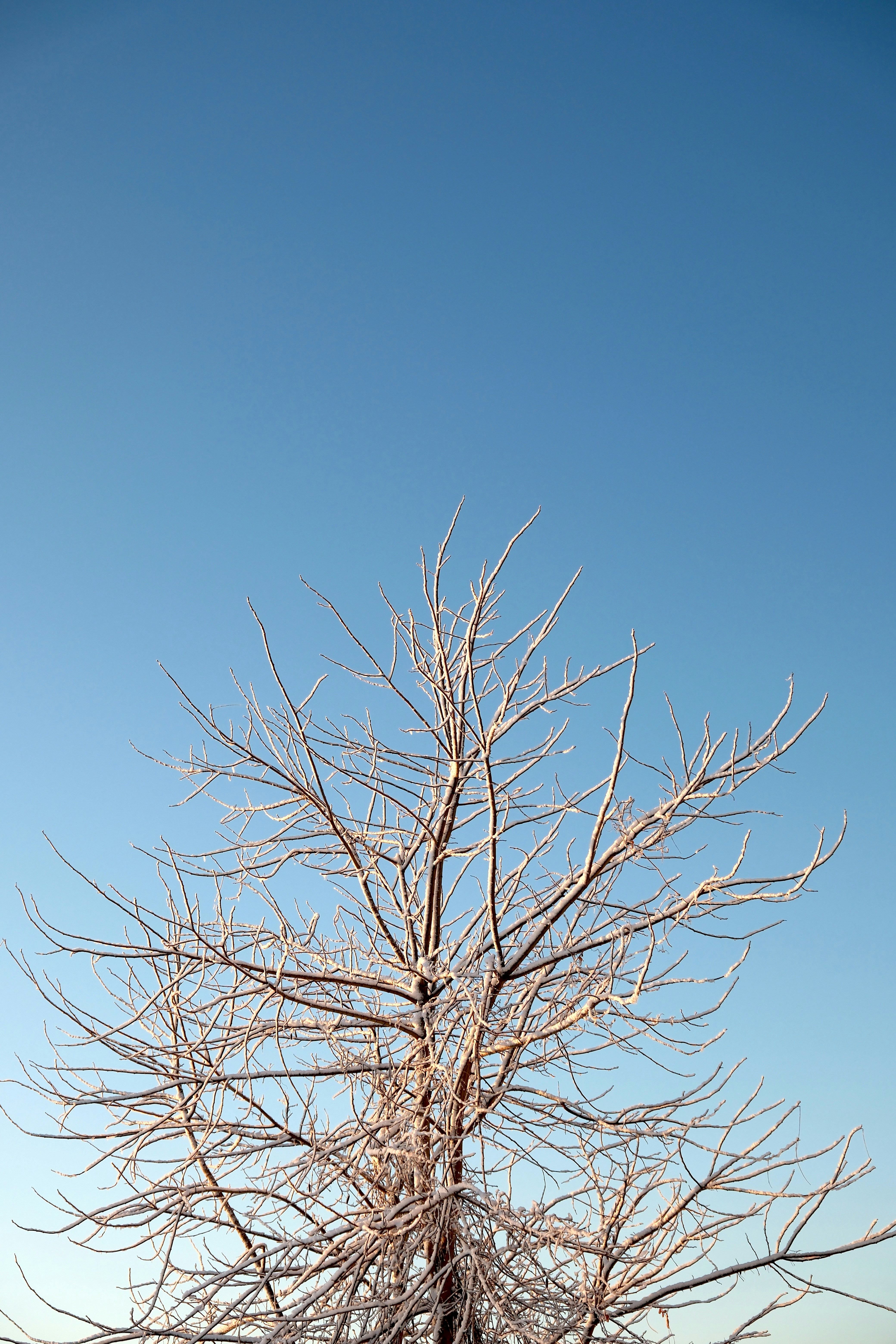 Photo by seiya_maeda