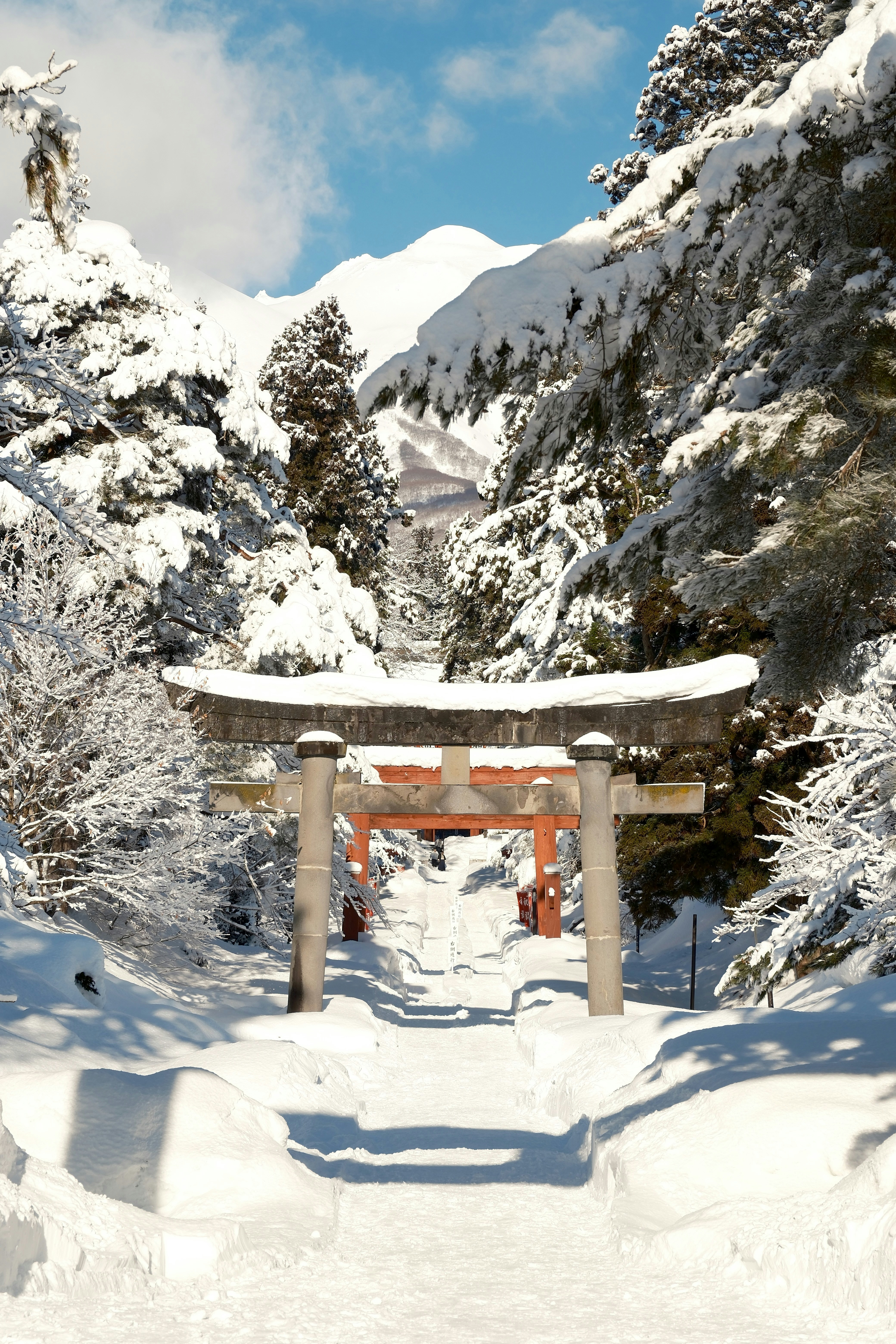 Photo by seiya_maeda