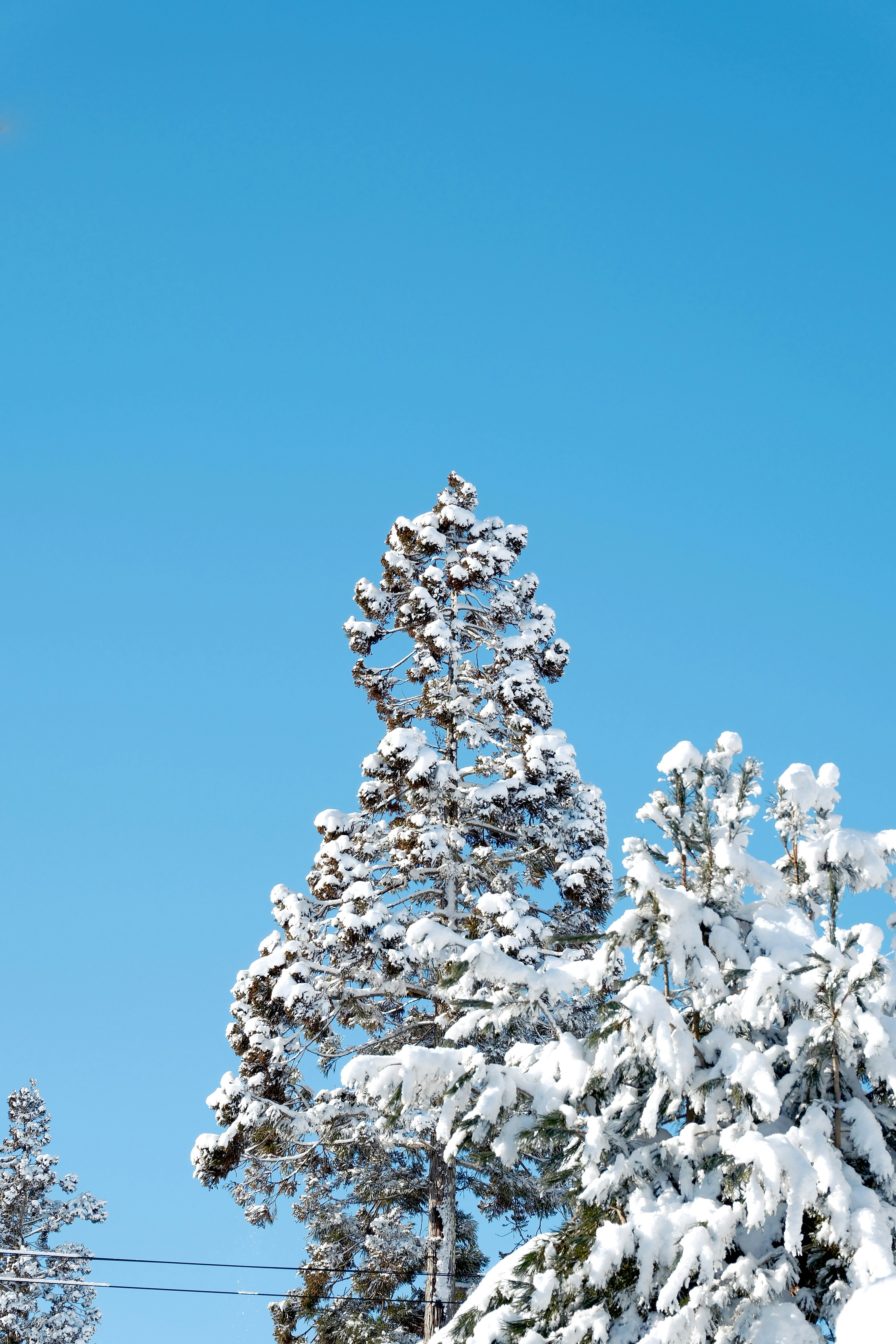 Photo by seiya_maeda