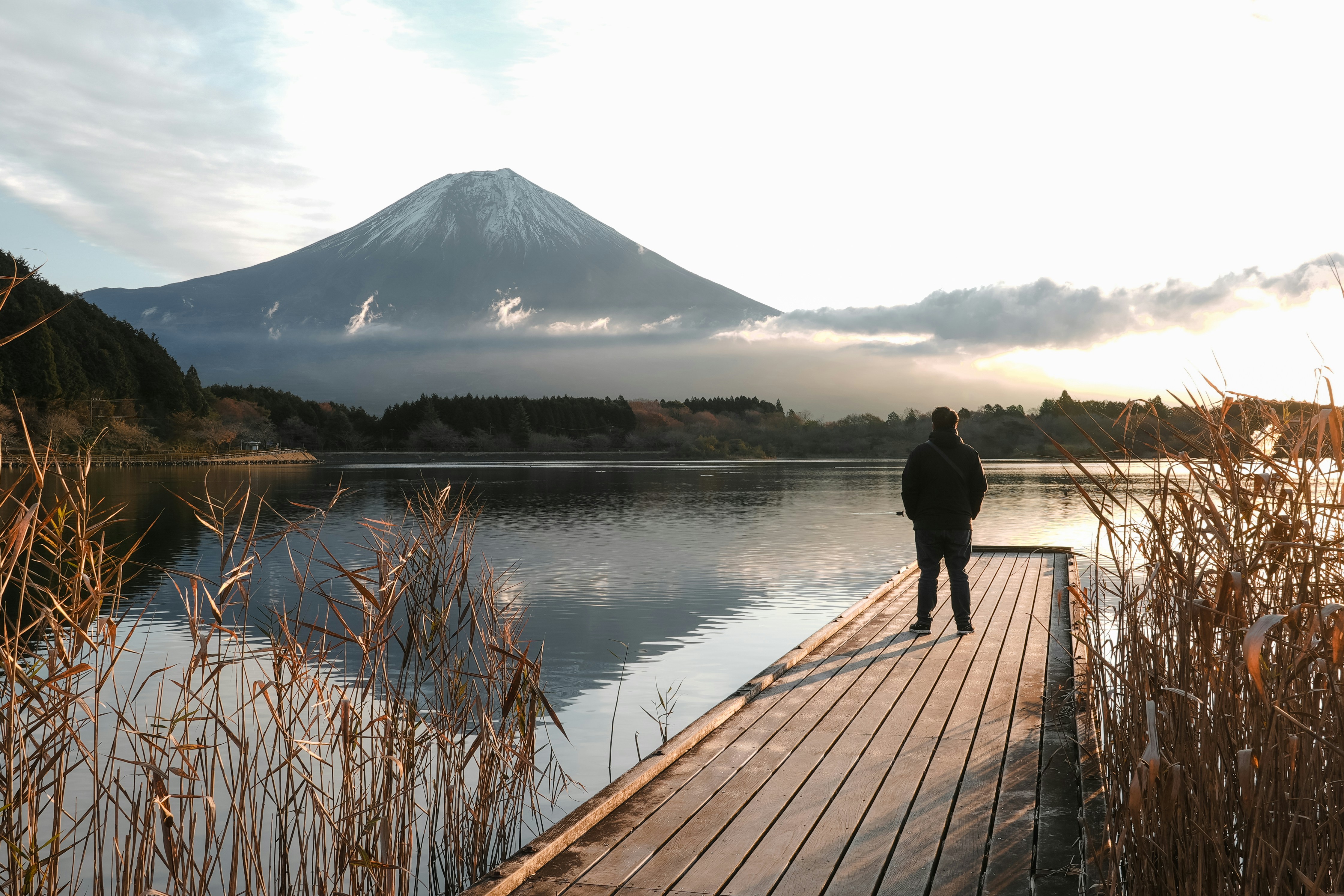 A person standing on a dock near a body of water