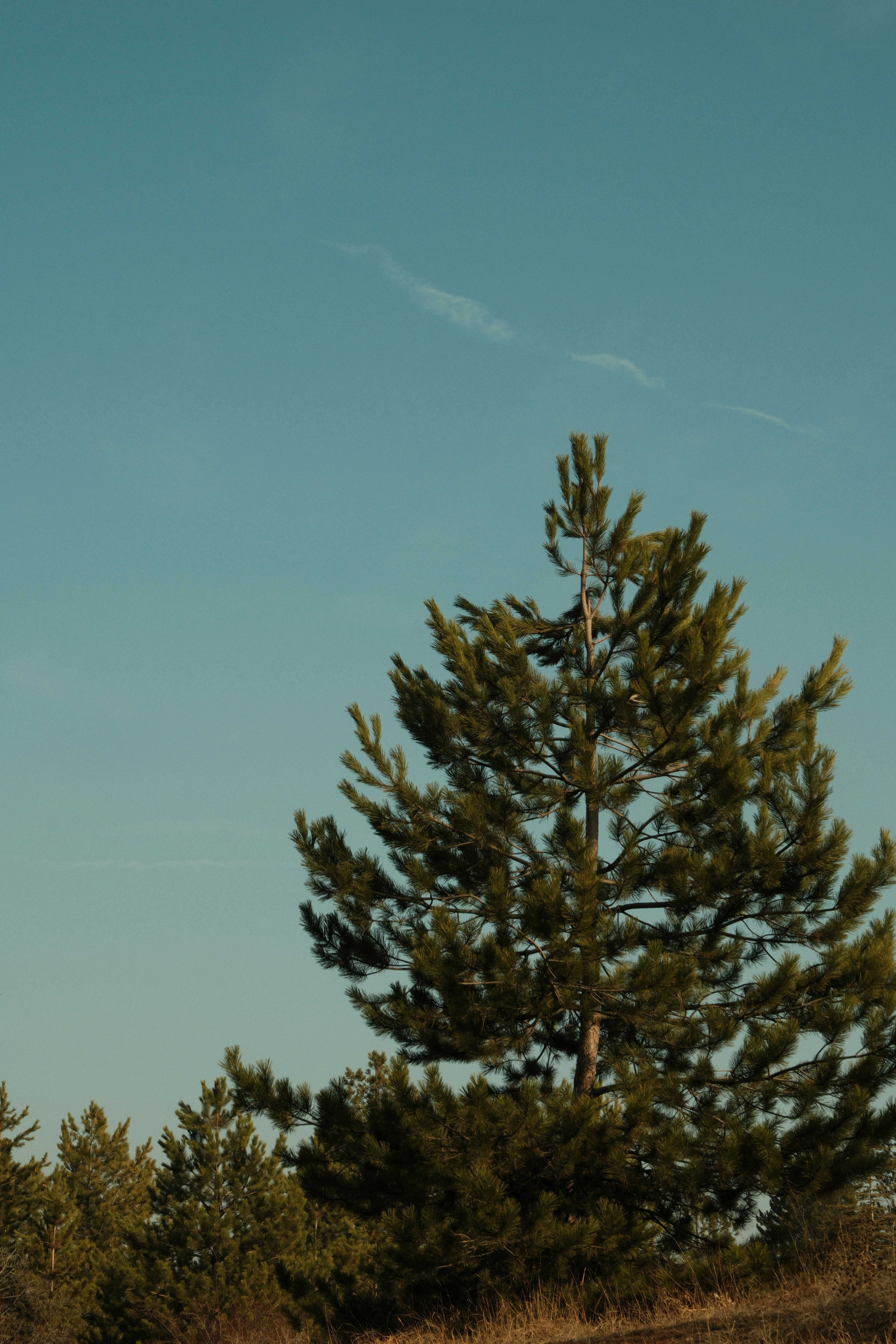 Photo by ismailefetop