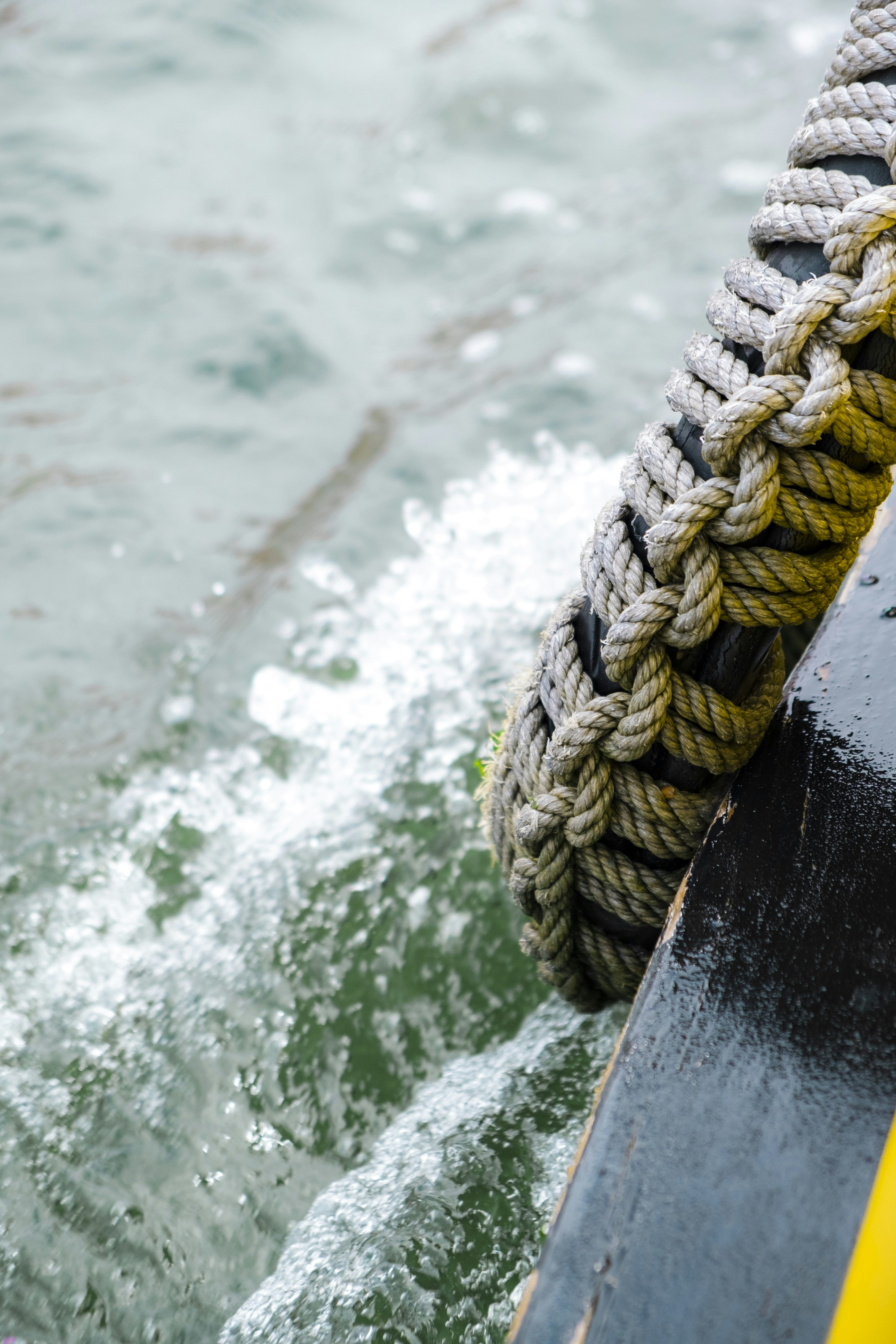 Photo by palivo_duracka