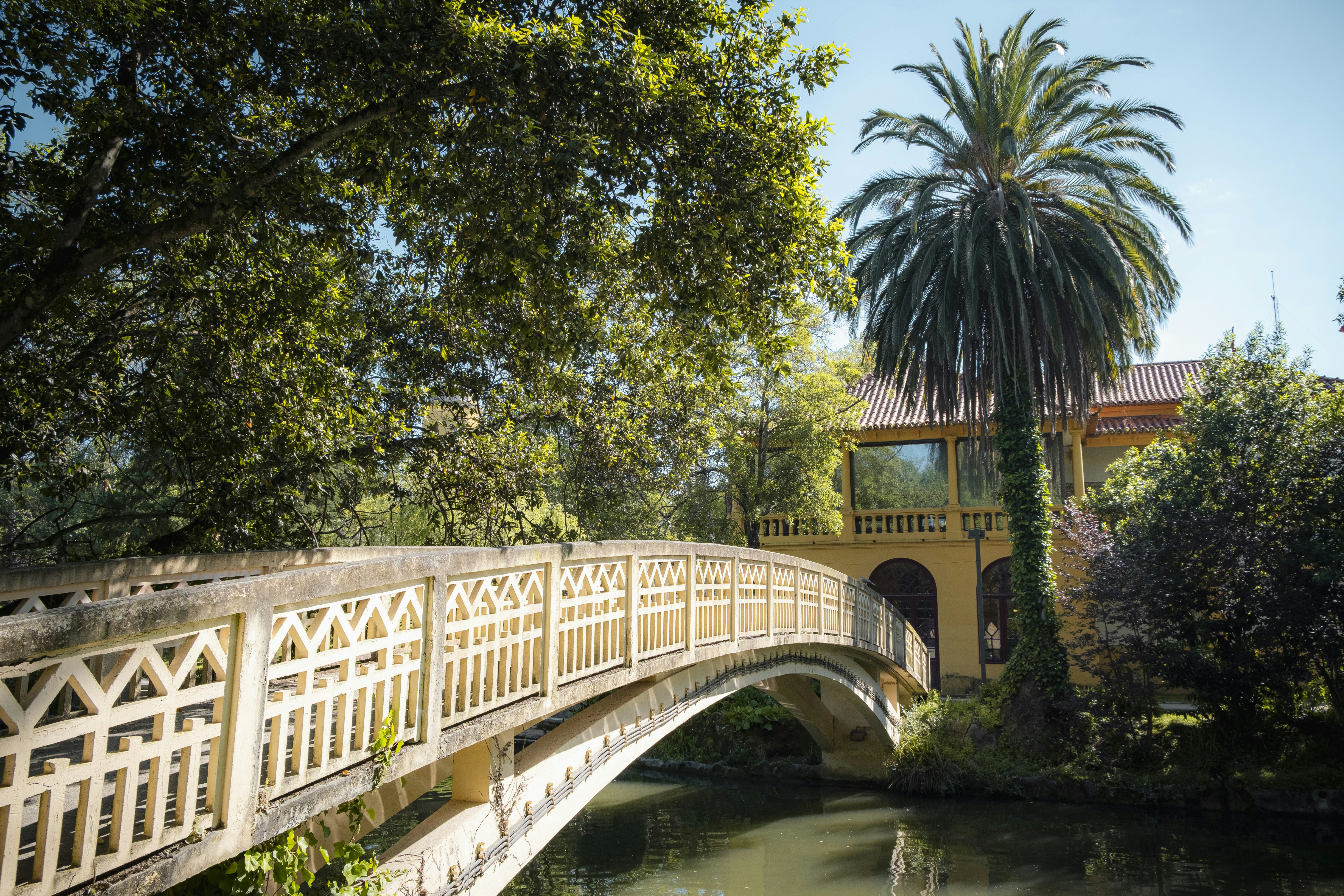 Photo by palivo_duracka