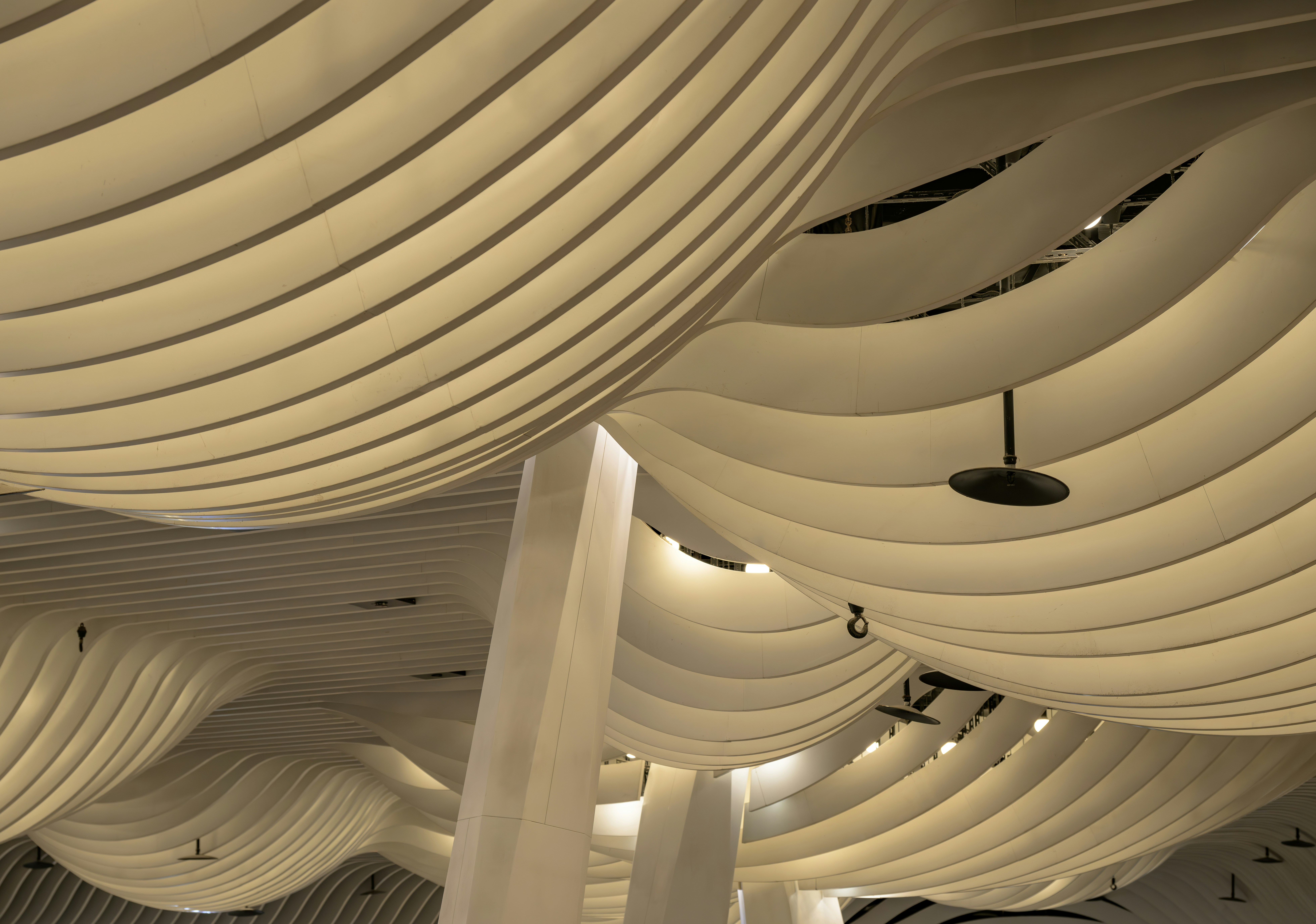 The ceiling of a large building with white columns