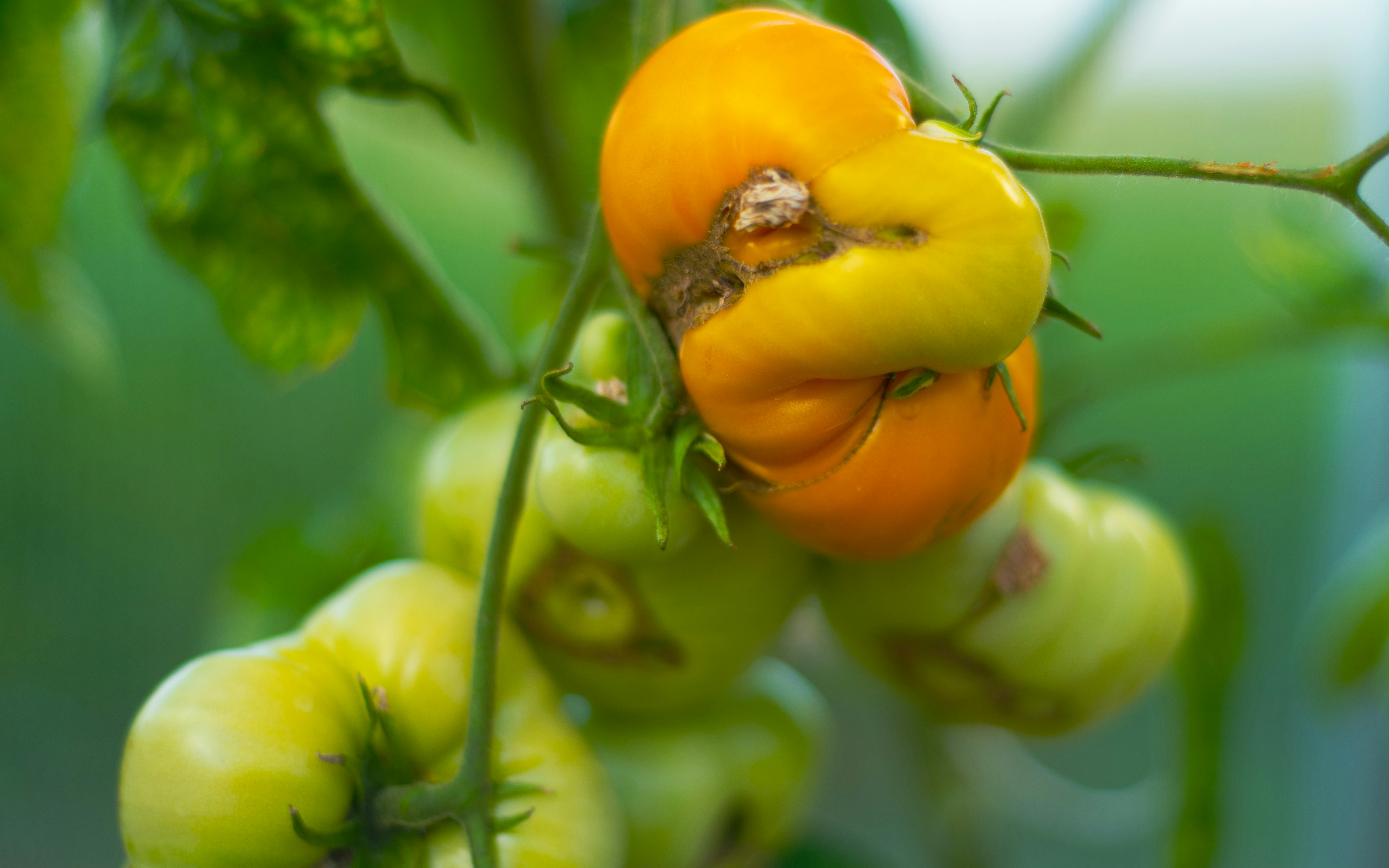 Ultimate Guide: Permaculture Secrets for Zero Waste Living