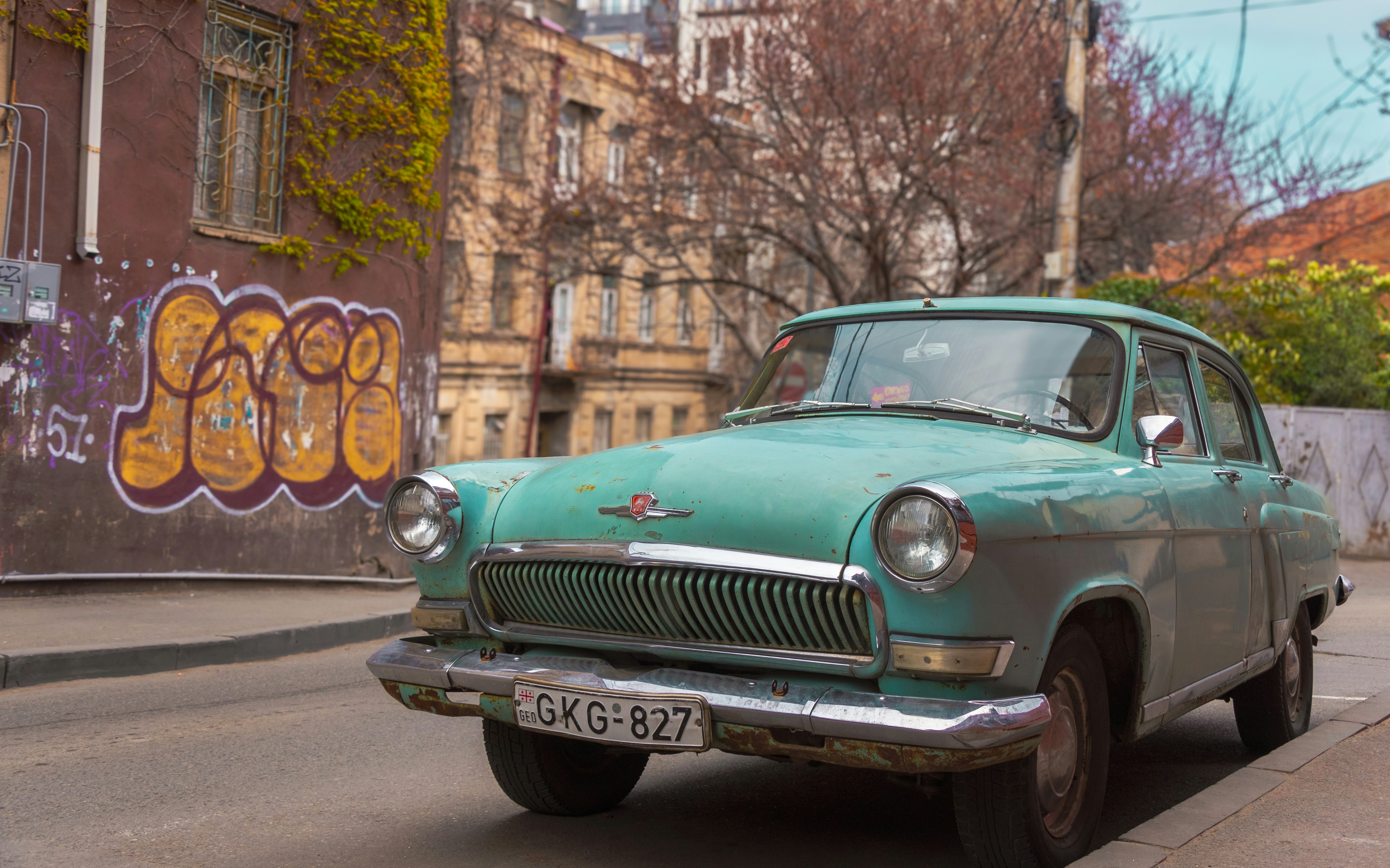 Photo by translytranslations