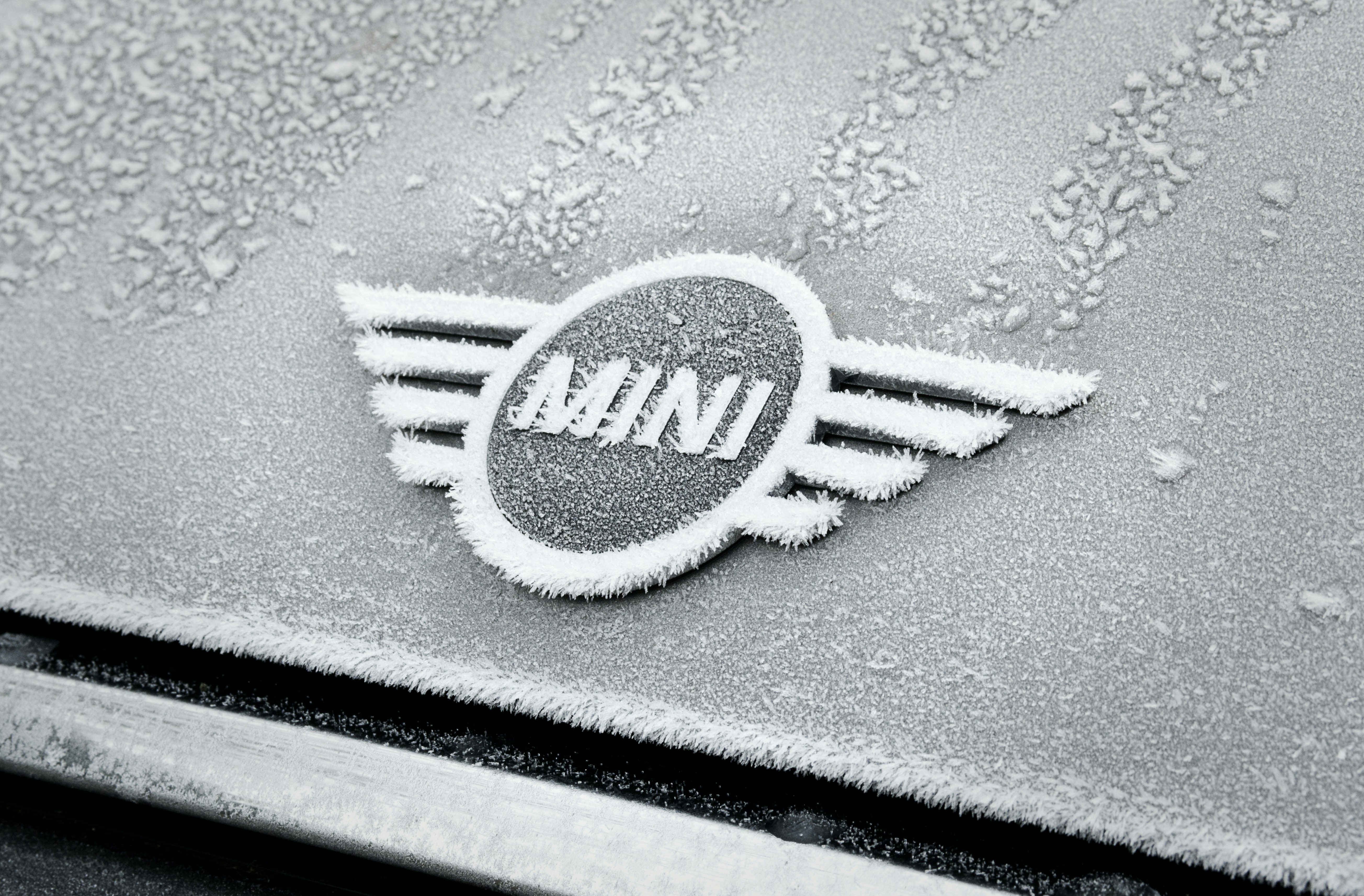 A close up of the emblem on a car