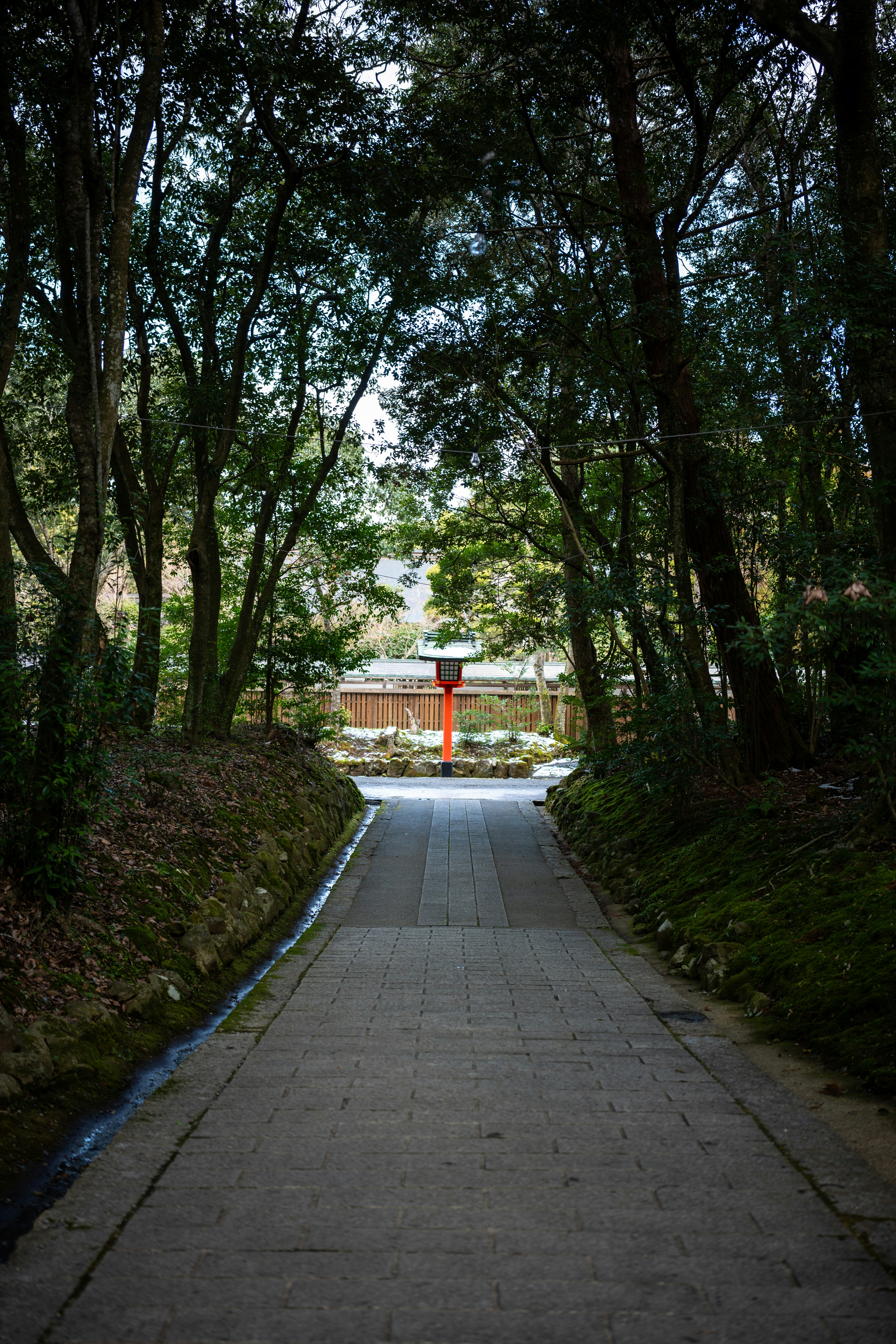Photo by pafuxu