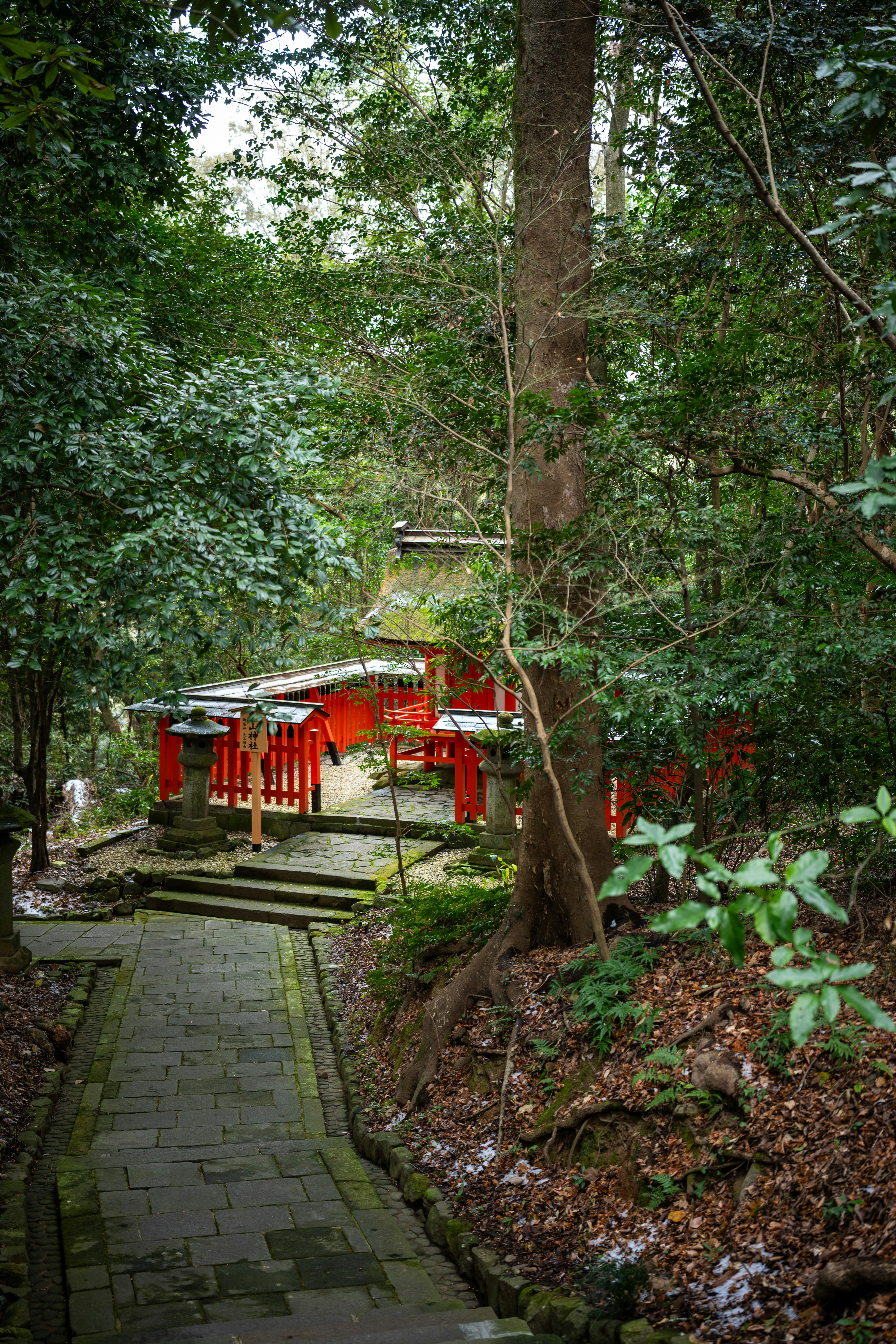 Forest Walk and Riverside Café Terrace