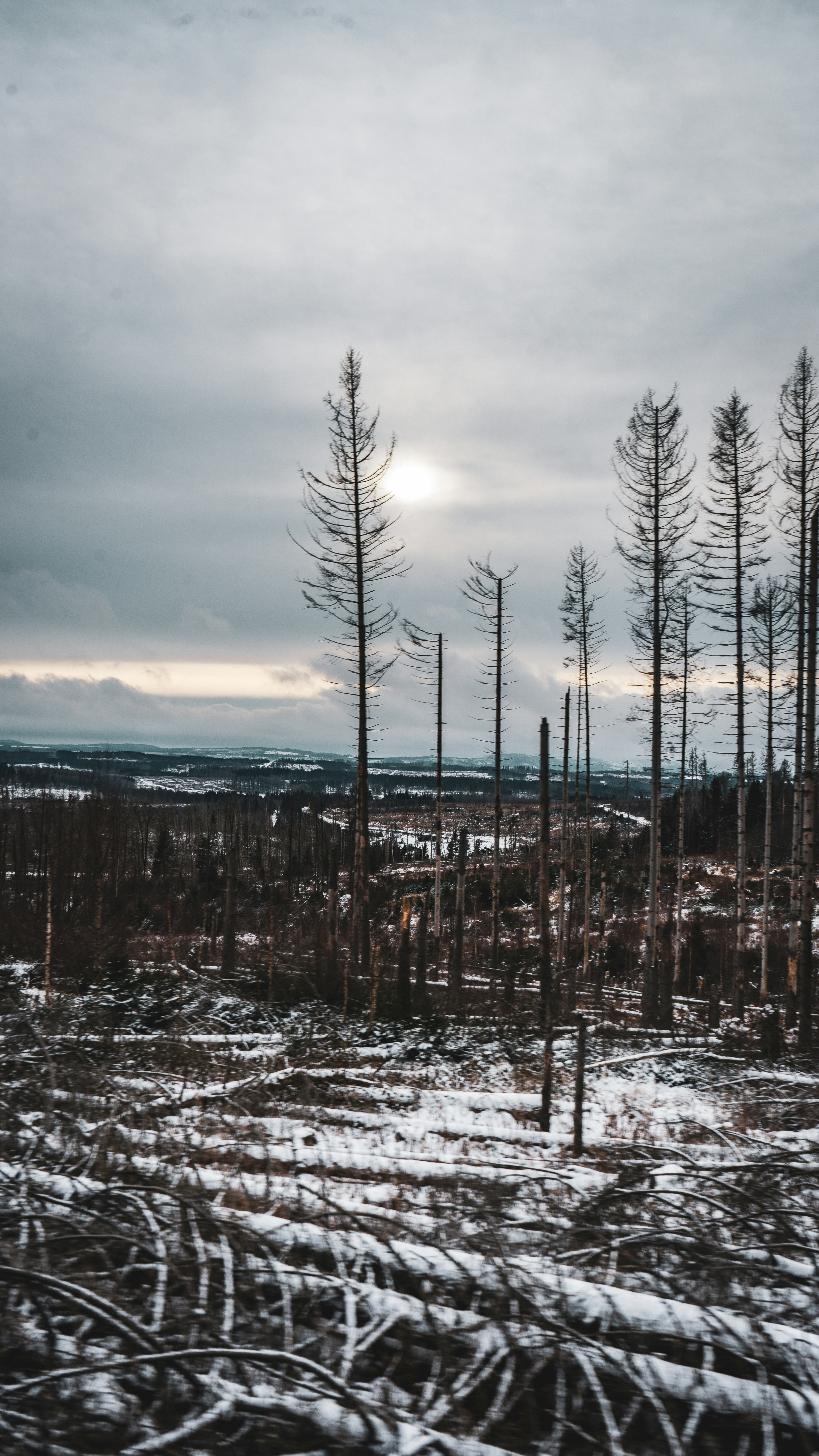 Photo by danielzermand