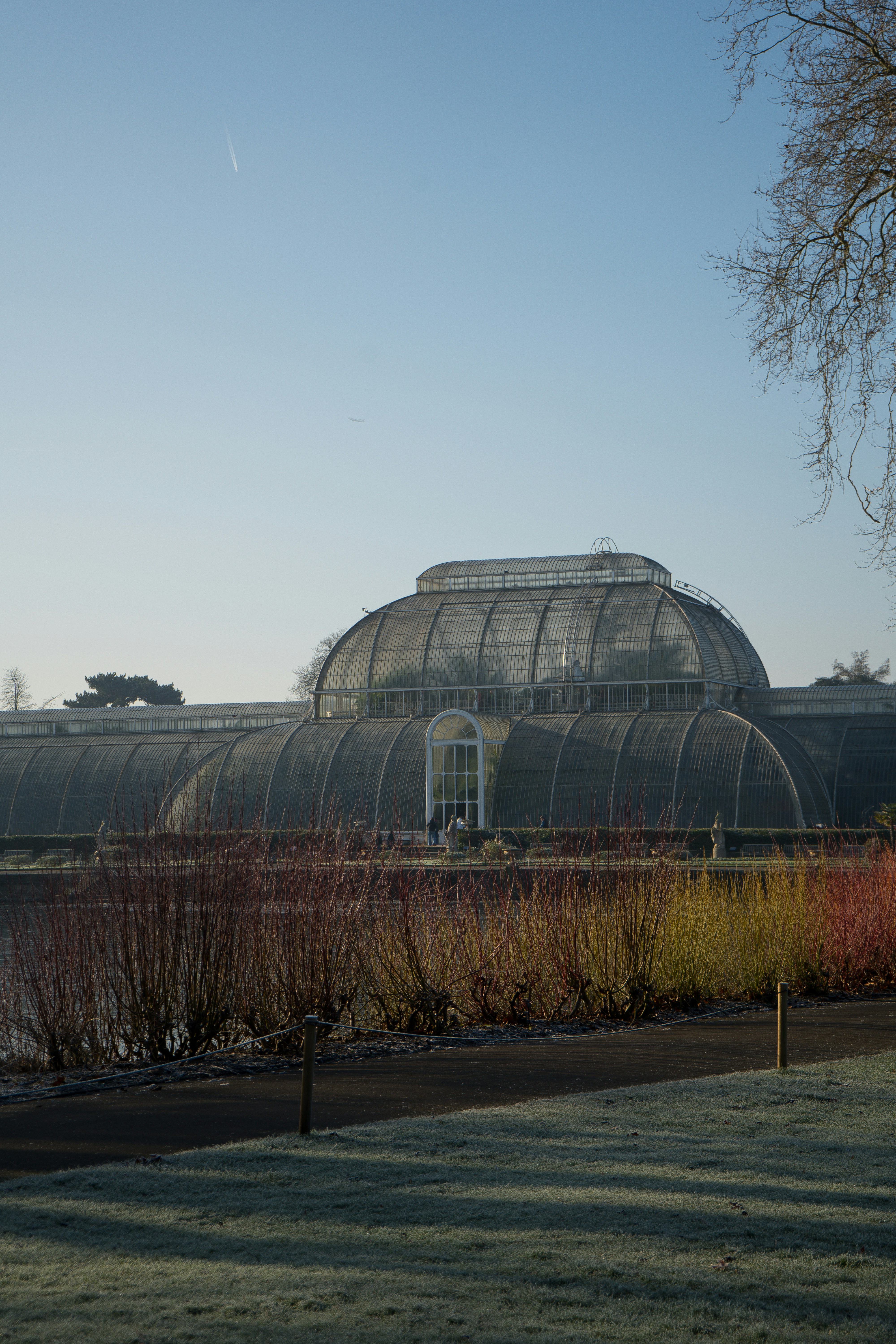 A large building with a lot of plants in front of it