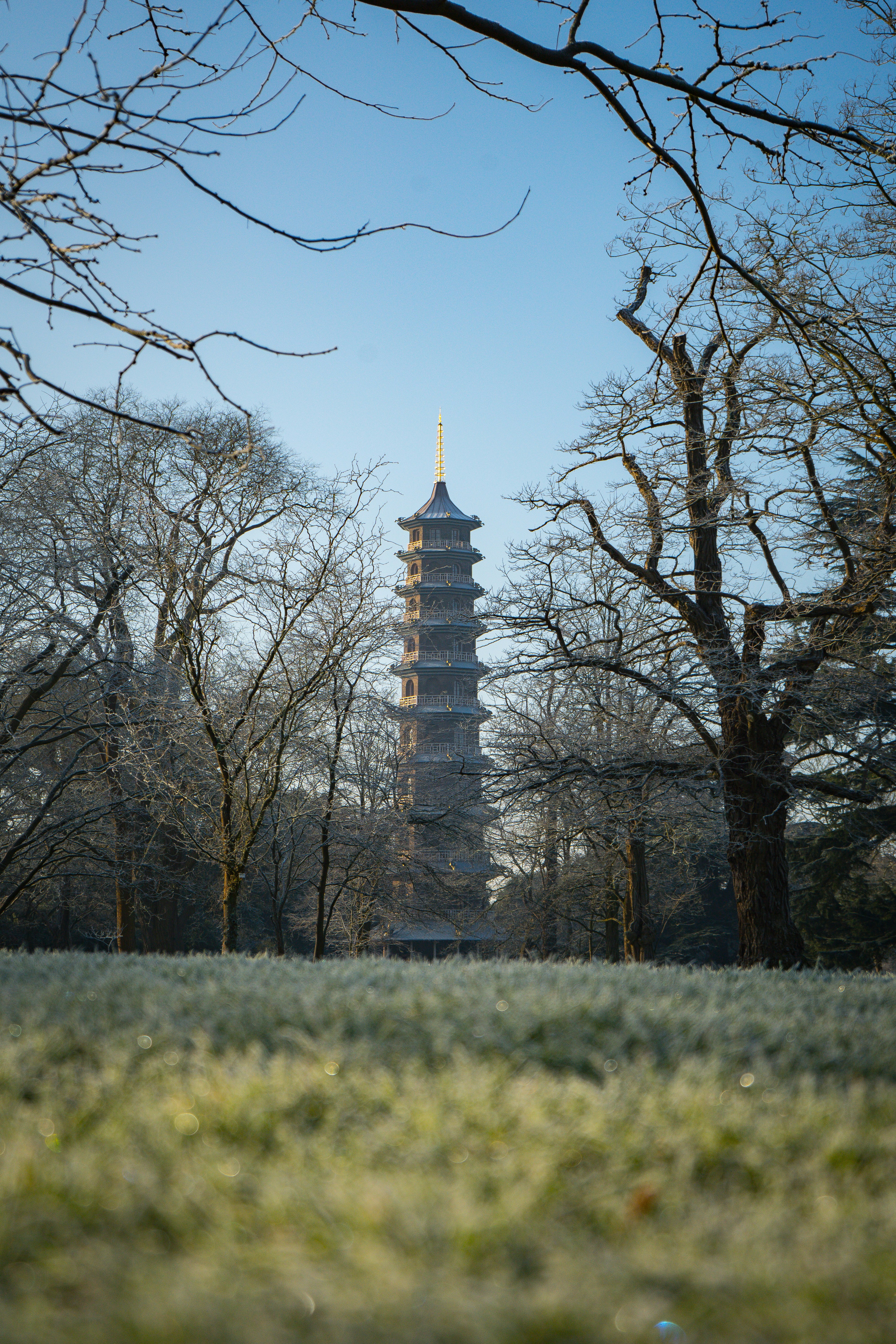 Photo by samuel_hagger