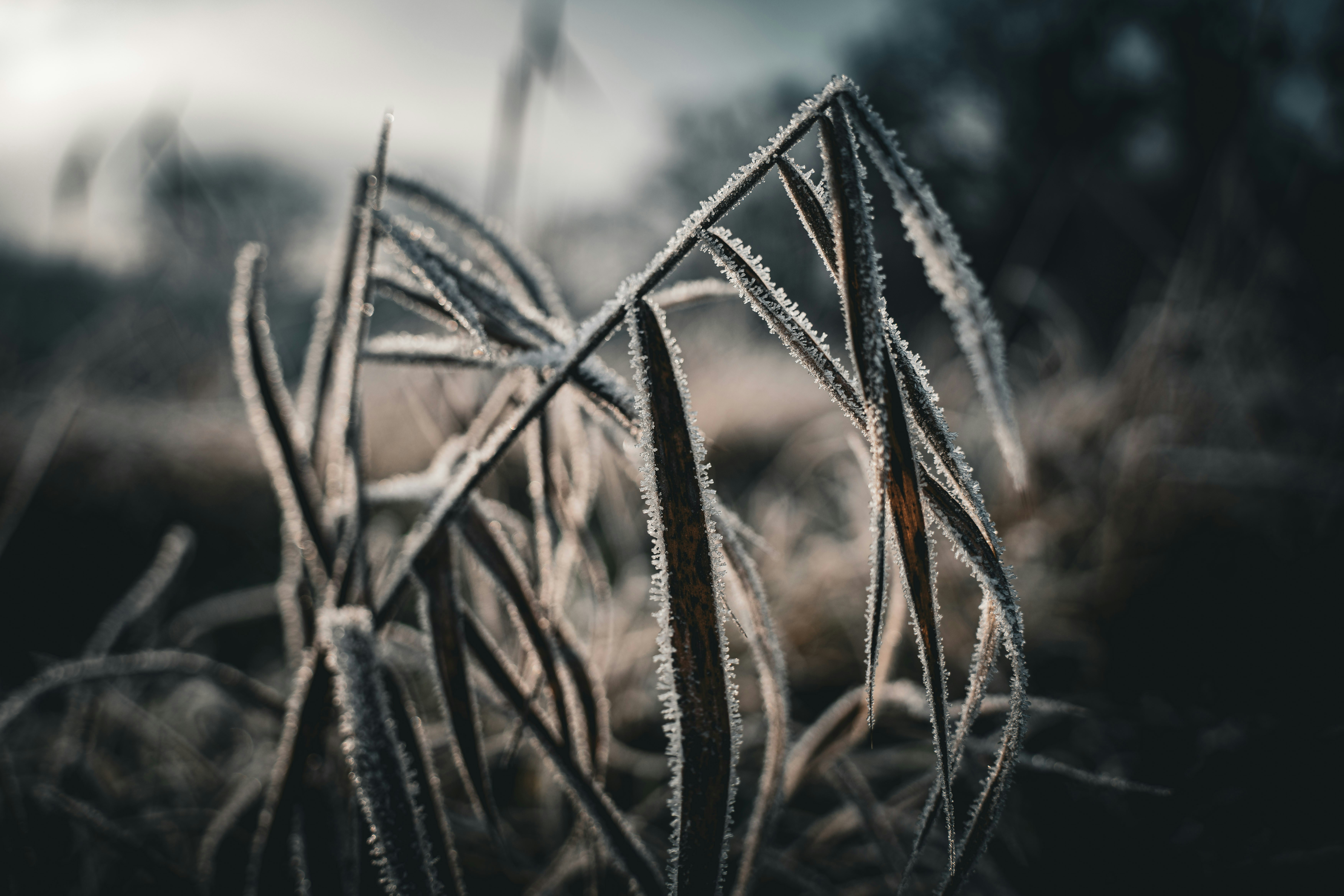 Photo by alphaperspective