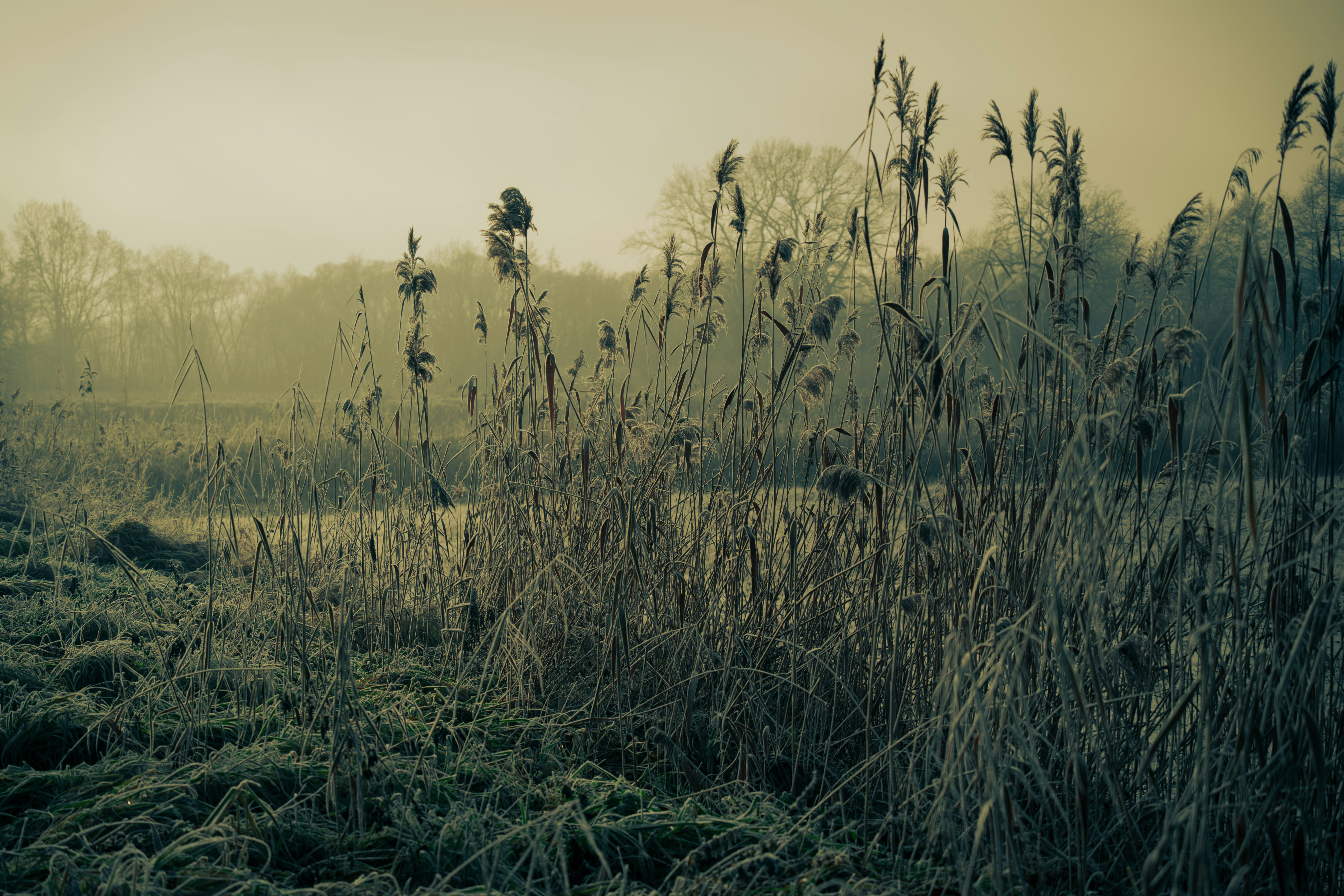 Photo by alphaperspective