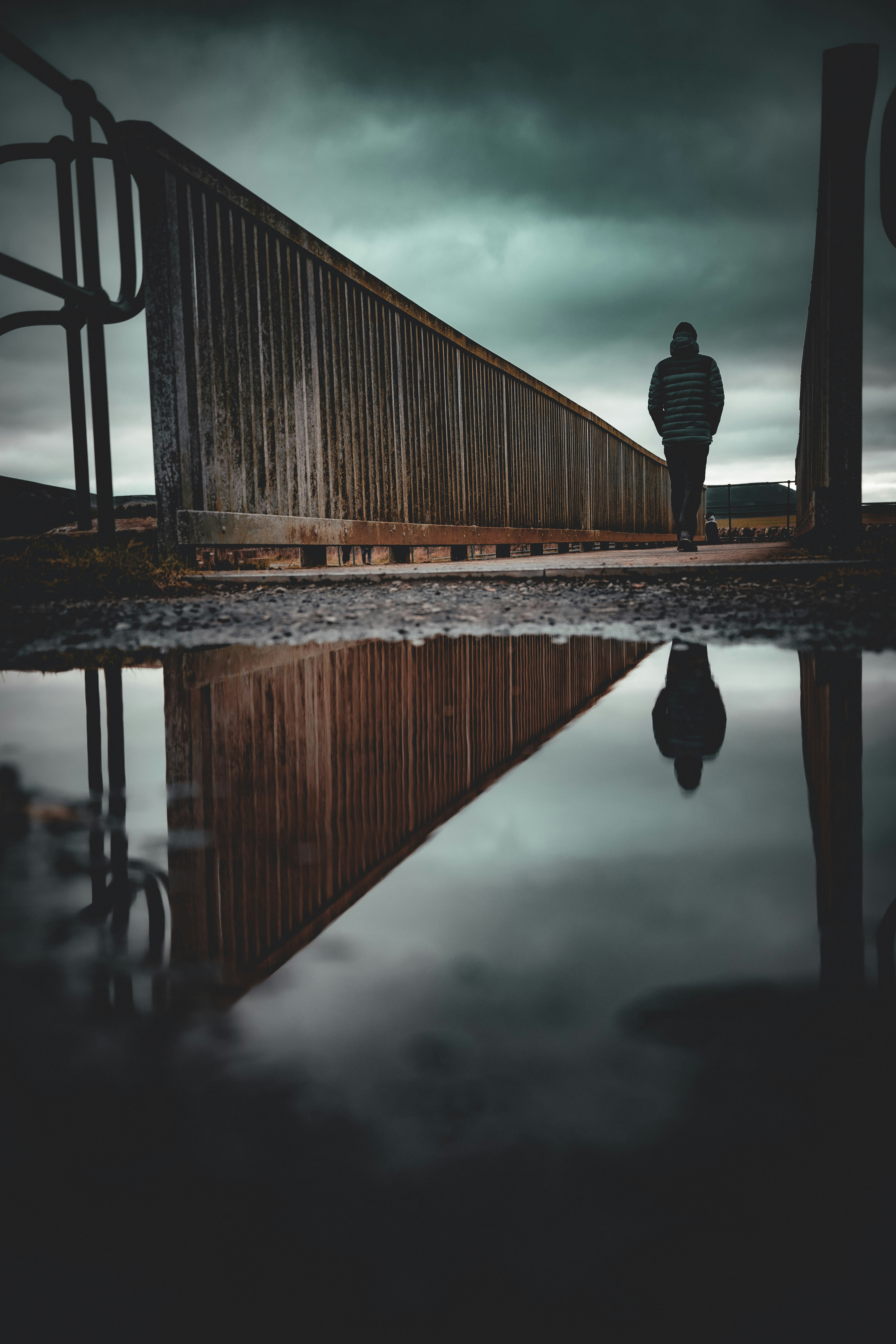 Photo by alphaperspective