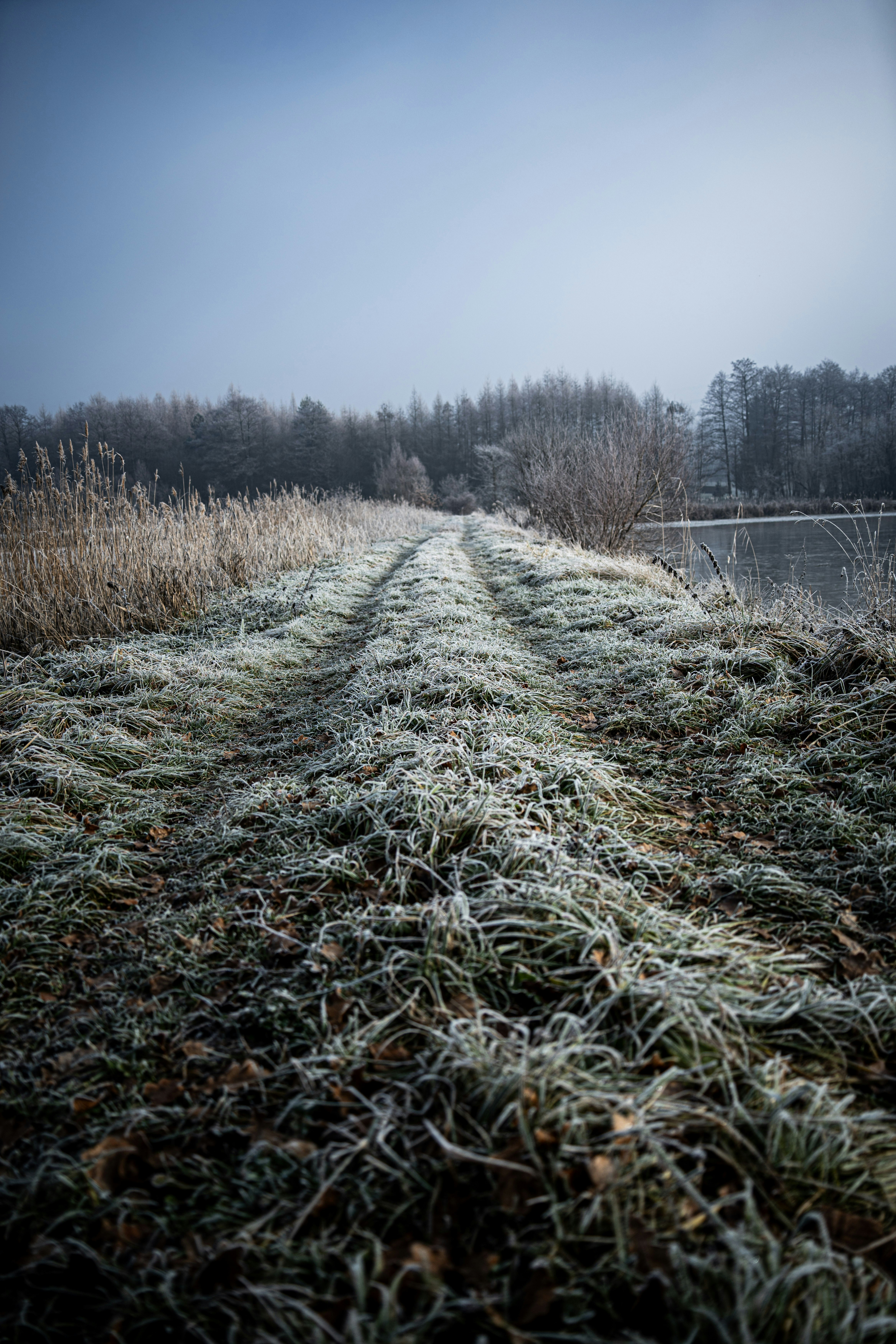 Photo by alphaperspective