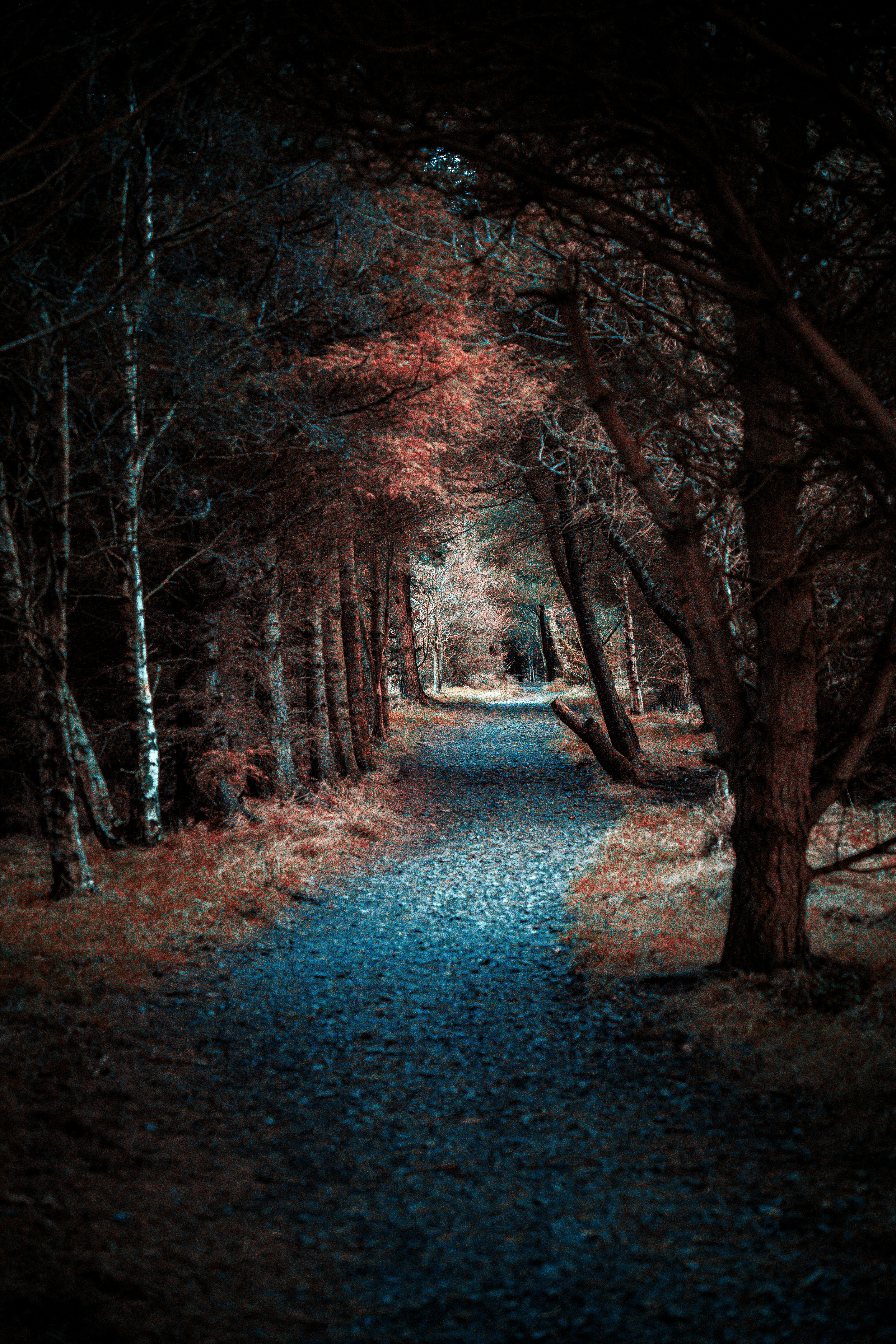 Photo by alphaperspective