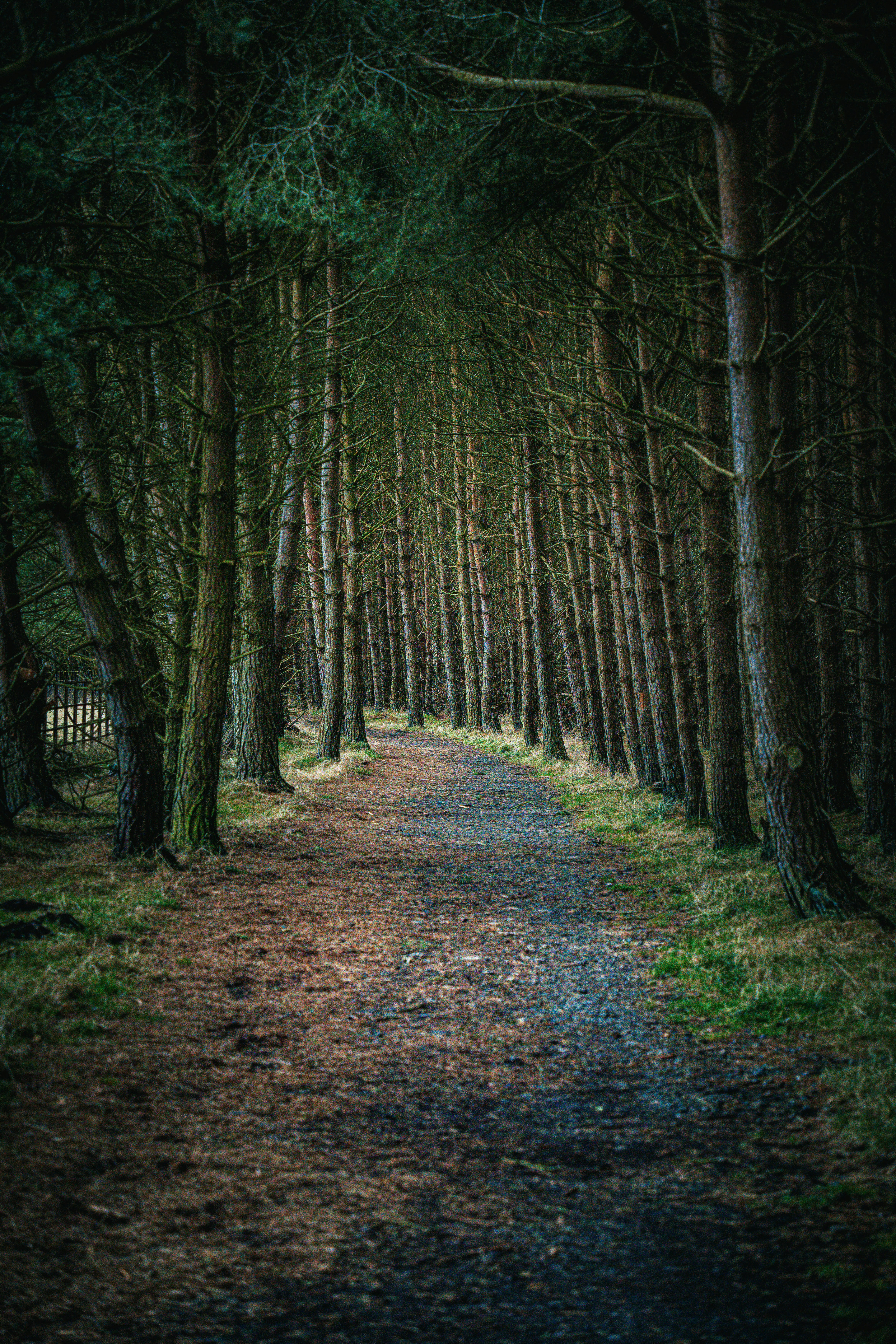 Photo by alphaperspective