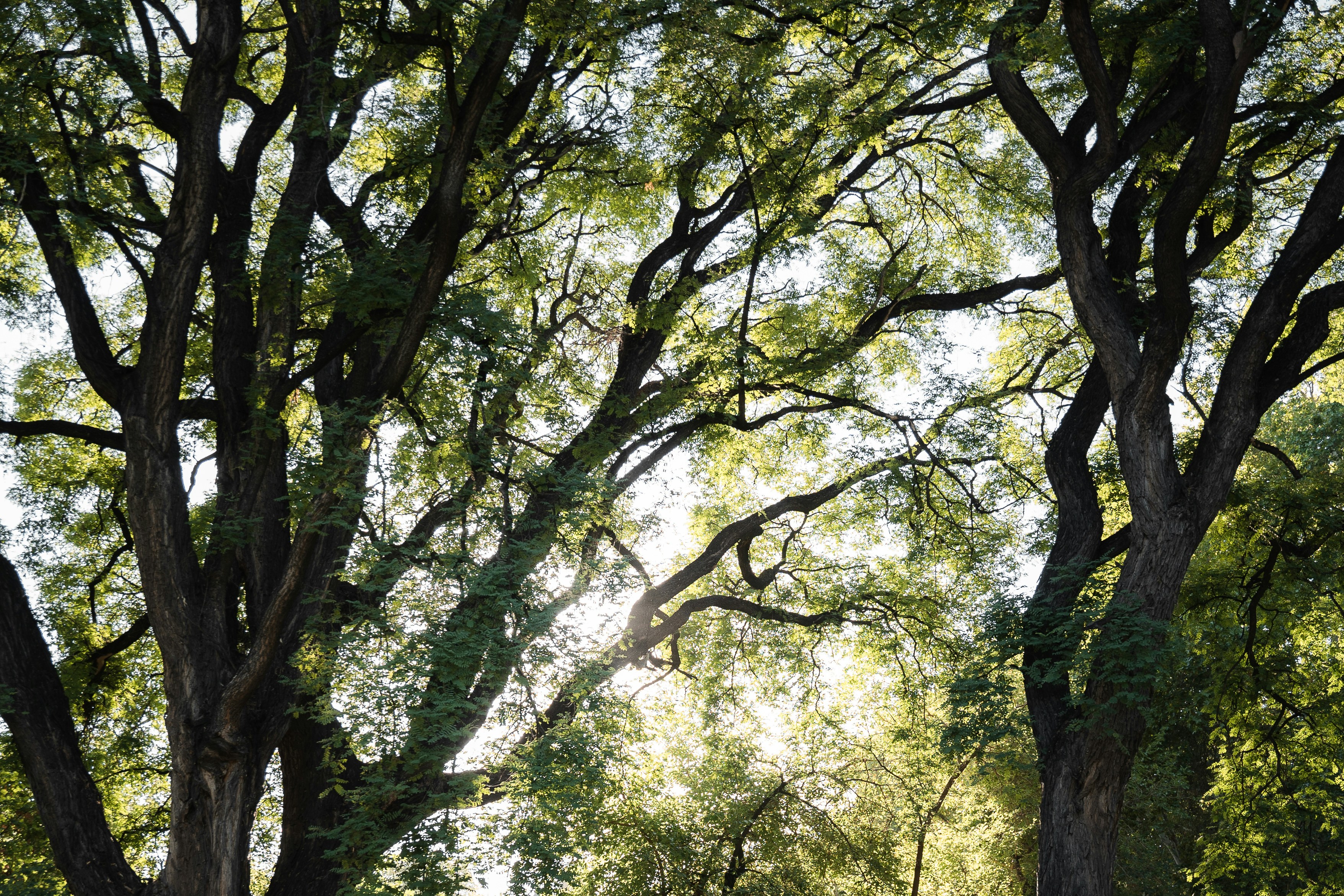 Photo by auchynnikau