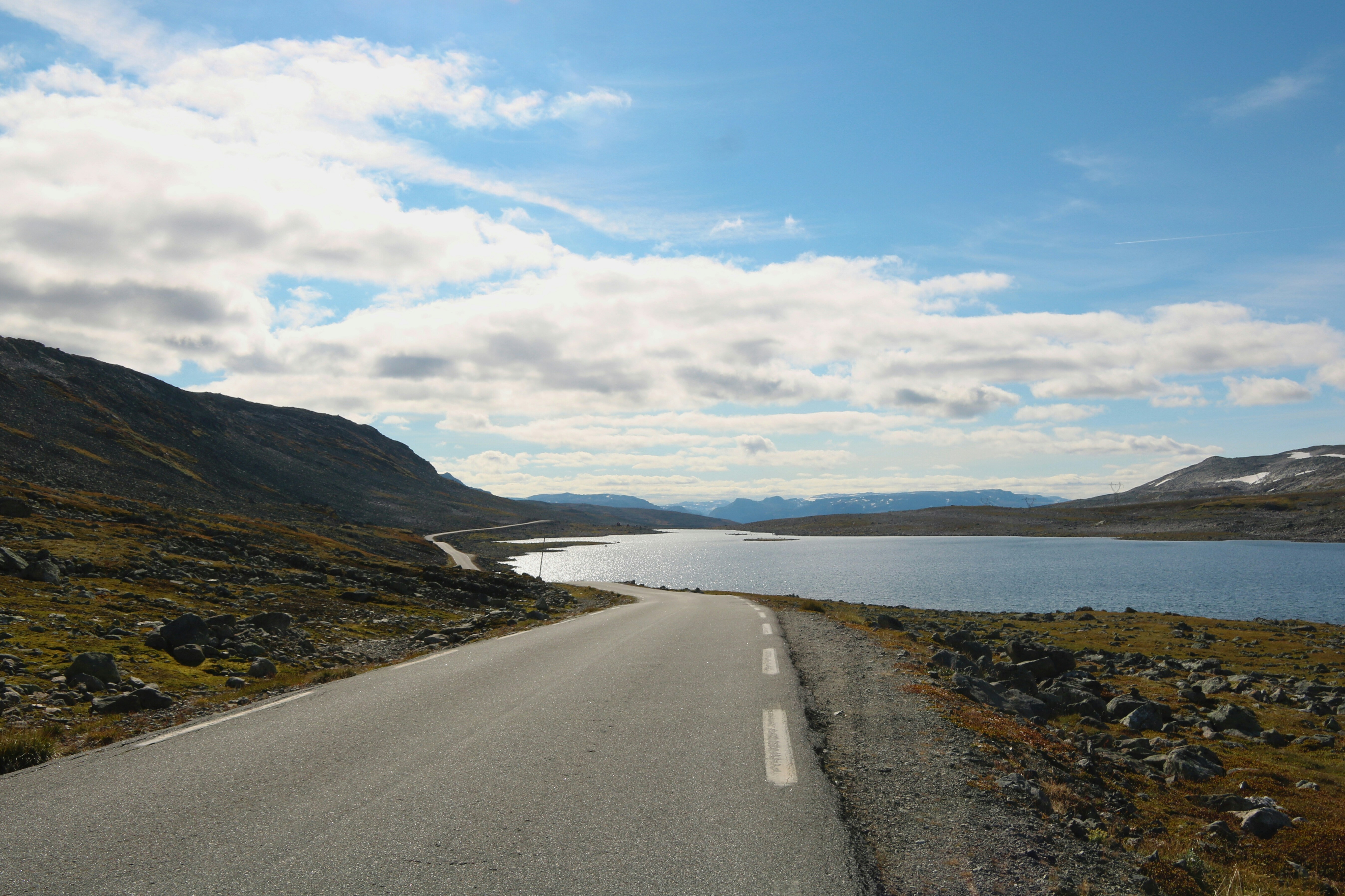 Photo by brunafisantos